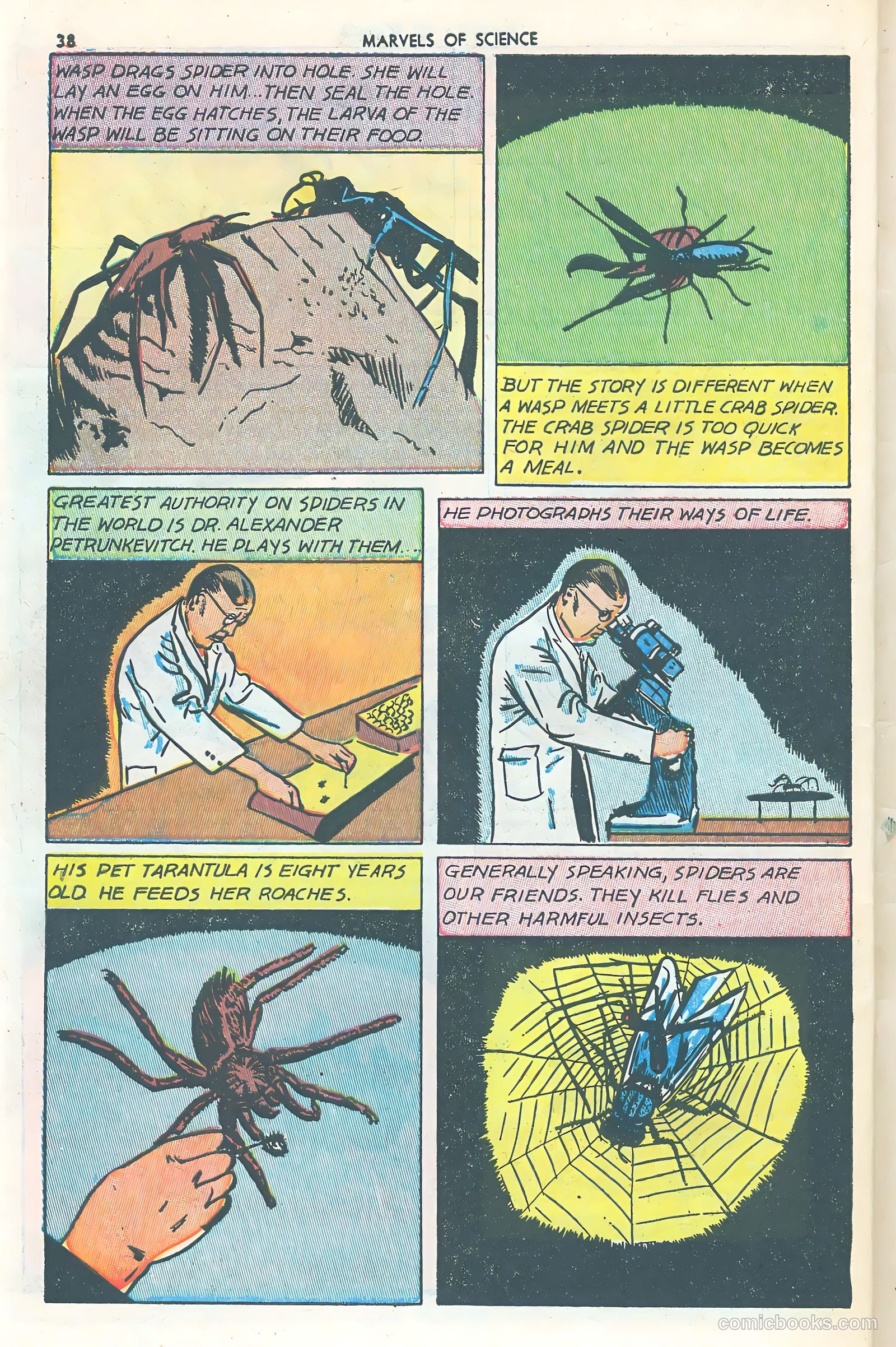 Marvels of Science #3 (1946) — page 40 of 52