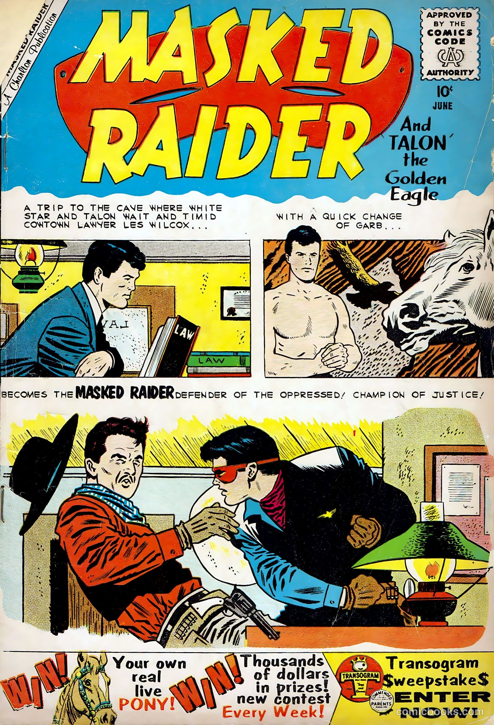 Masked Raider #24
