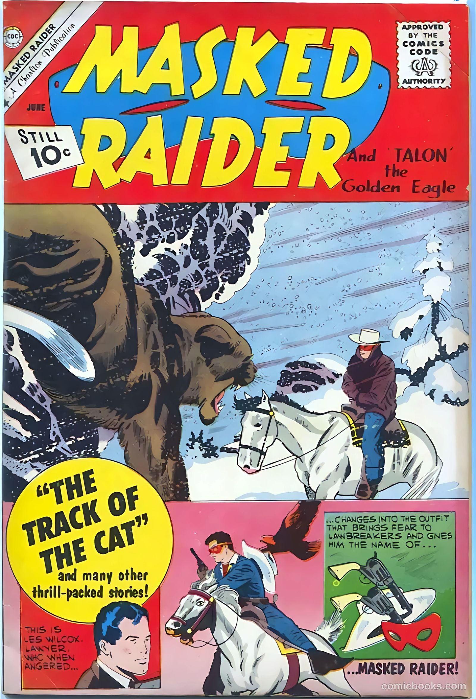 Masked Raider #30