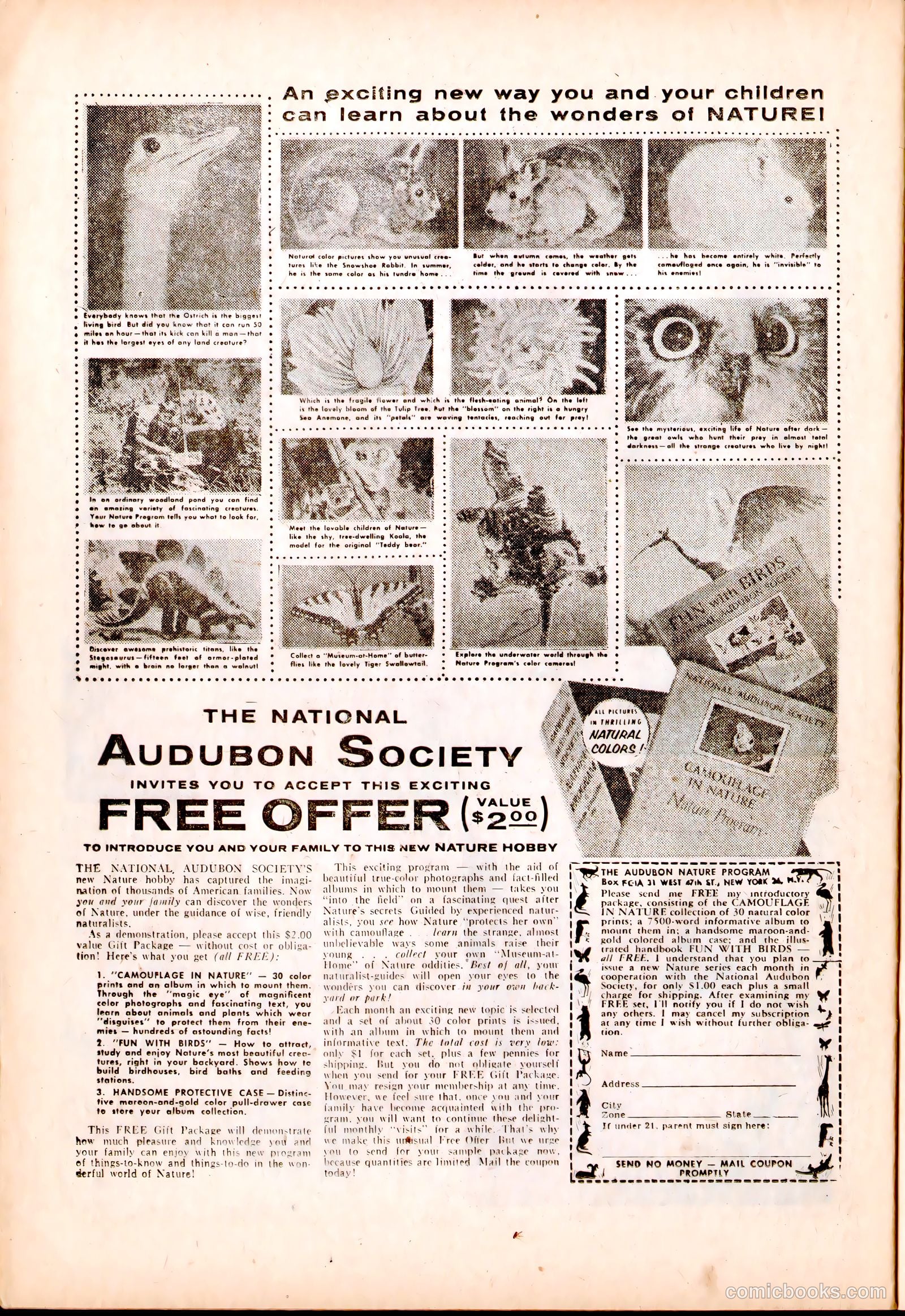 Men in Action #5 (1958) — page 24 of 36