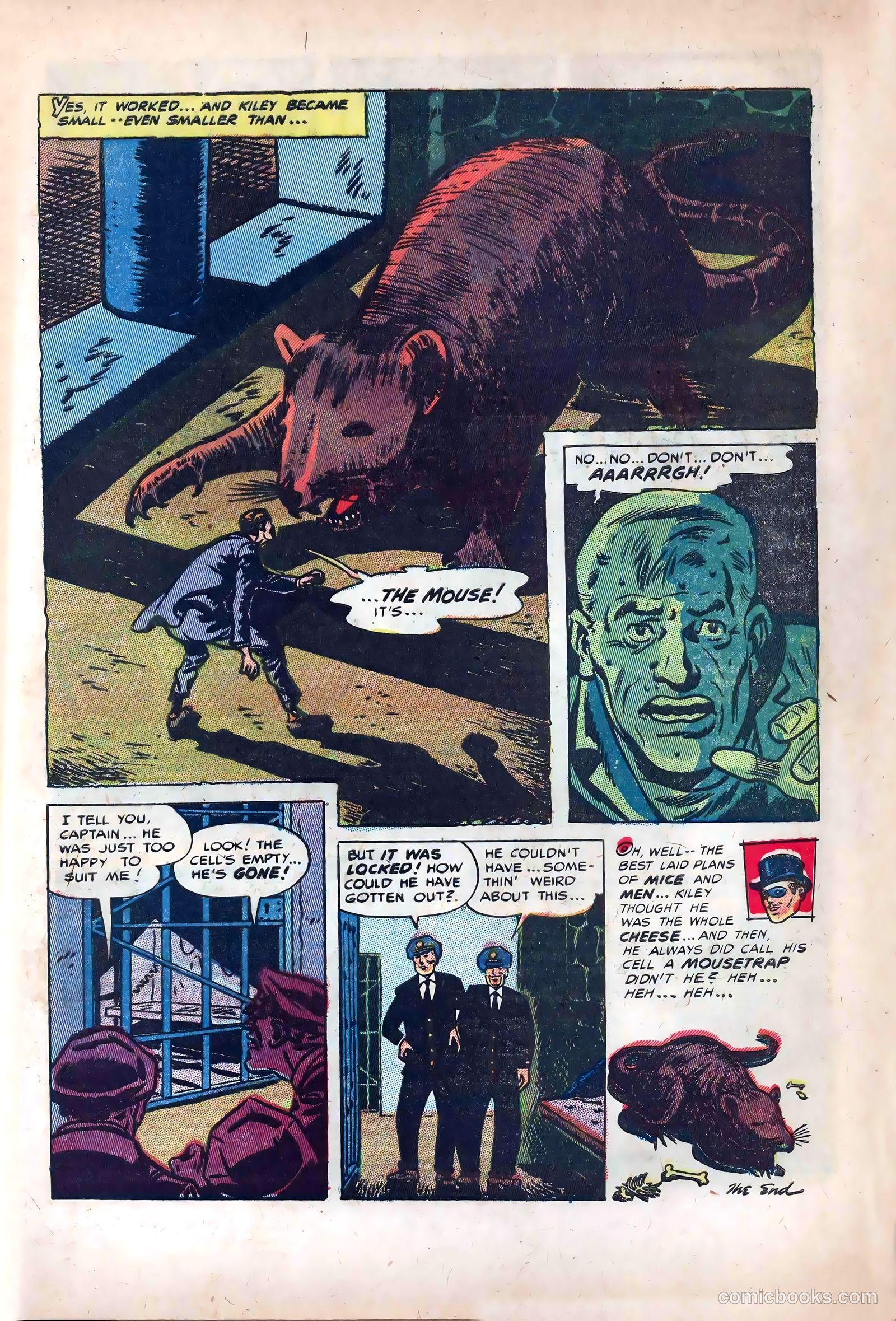 Mister Mystery #10 (1953) — page 7 of 36