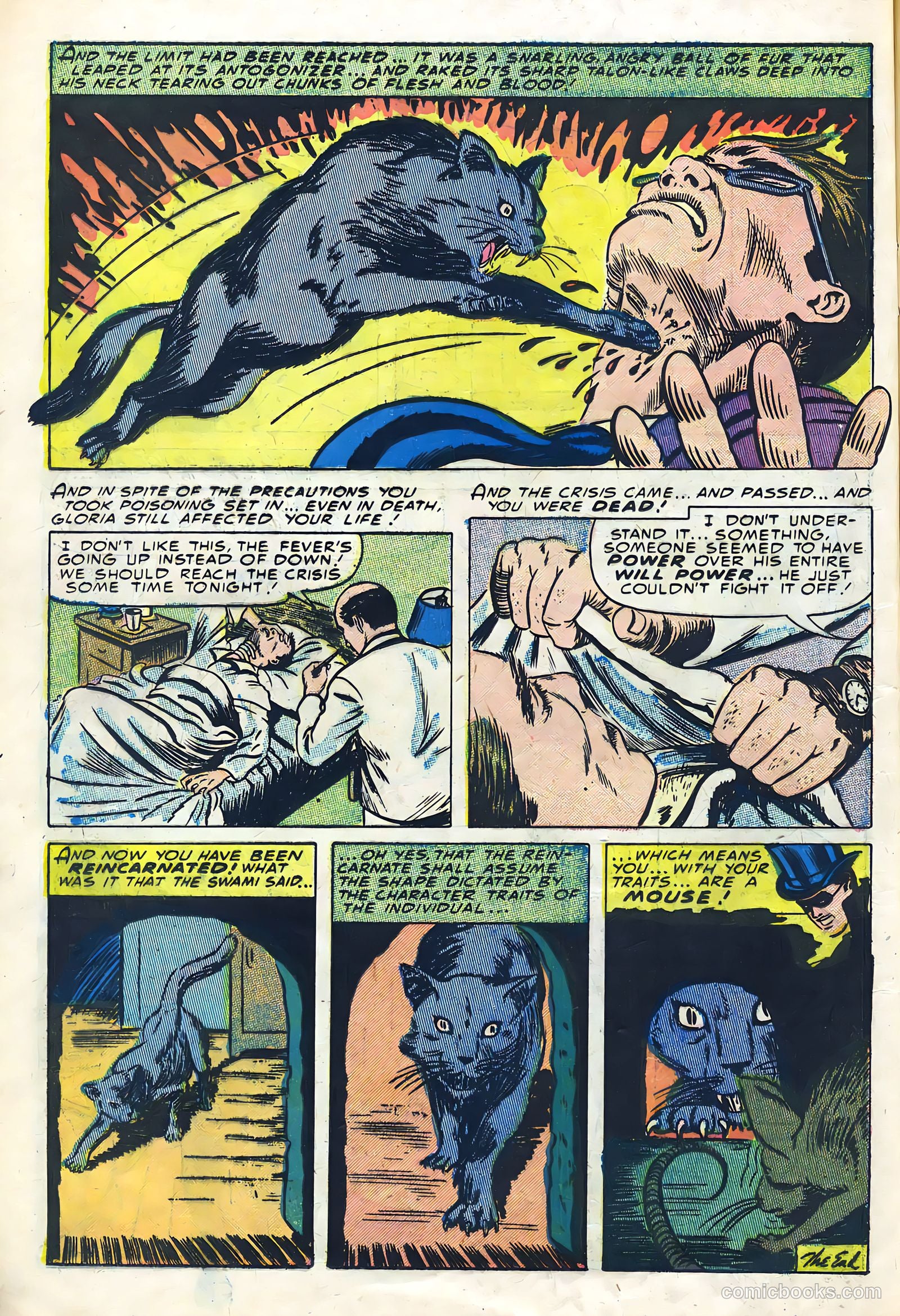 Mister Mystery #15 (1954) — page 14 of 36