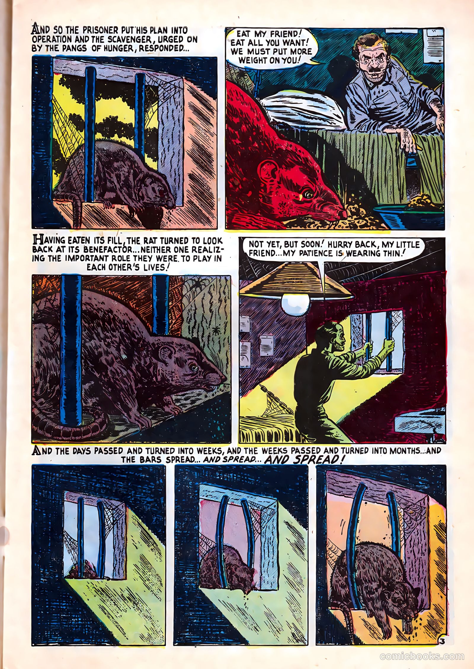 Mister Mystery #8 (1952) — page 4 of 36