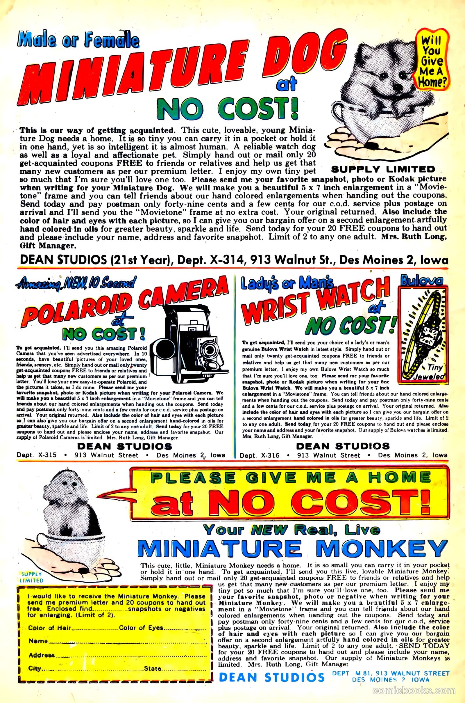 My Secret Life #44 (1962) — page 34 of 36