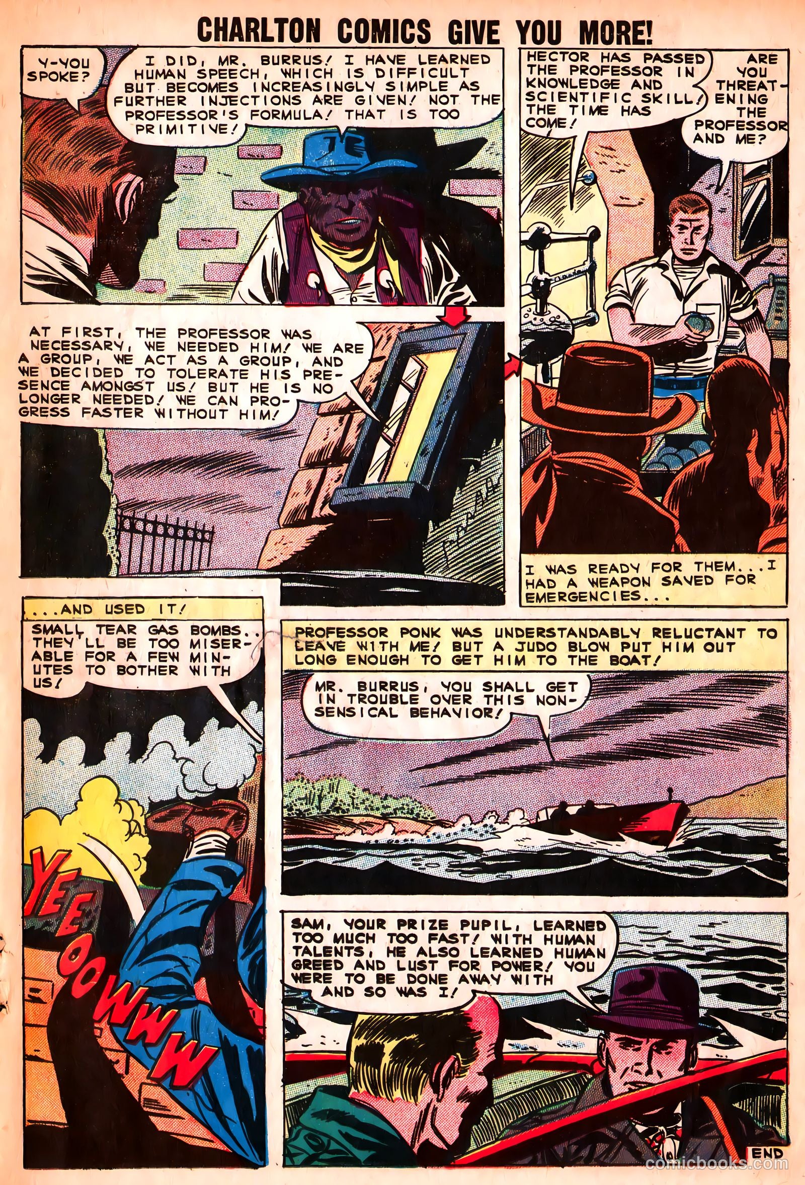 Mysteries of Unexplored Worlds #23 (1961) — page 19 of 37
