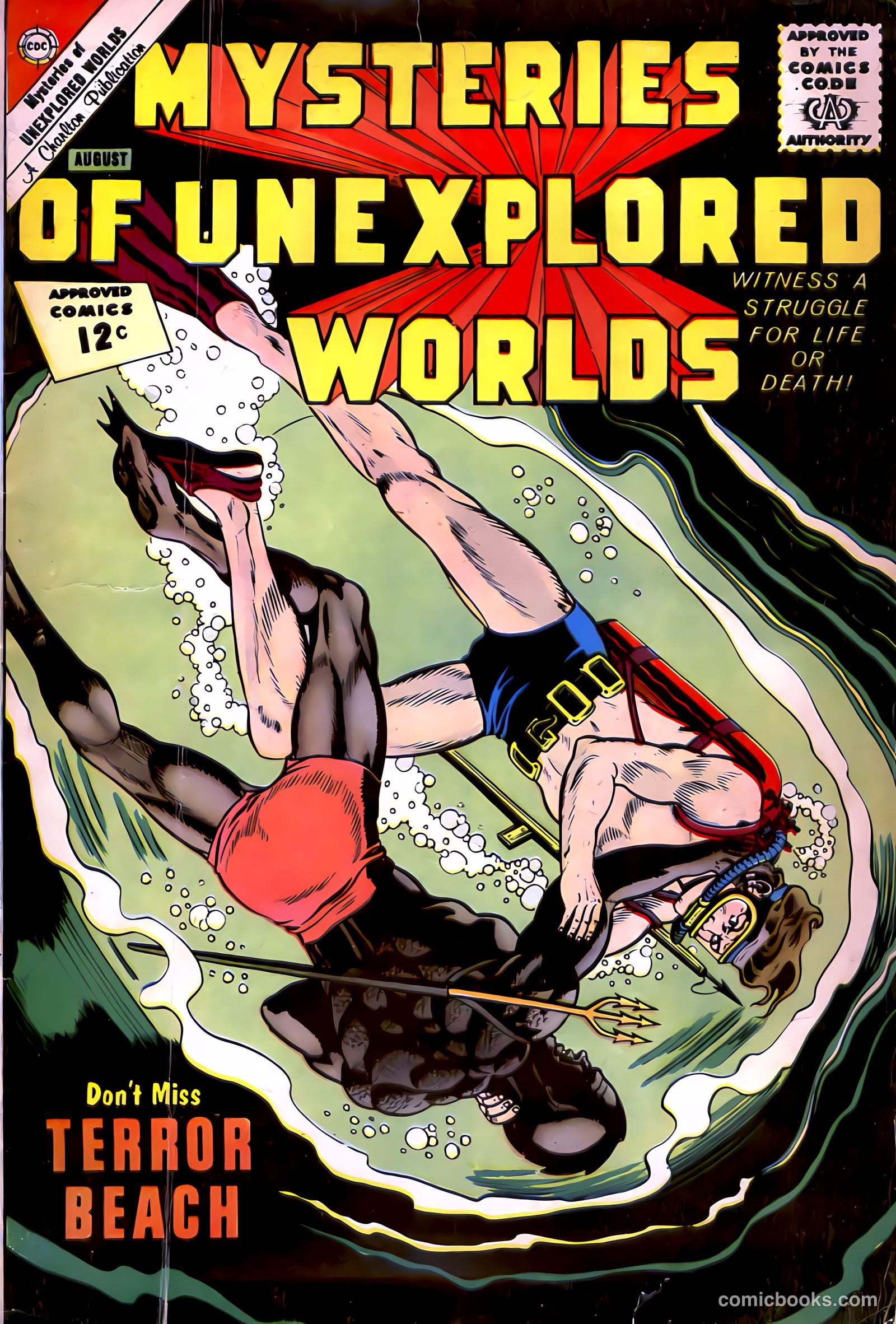 #31