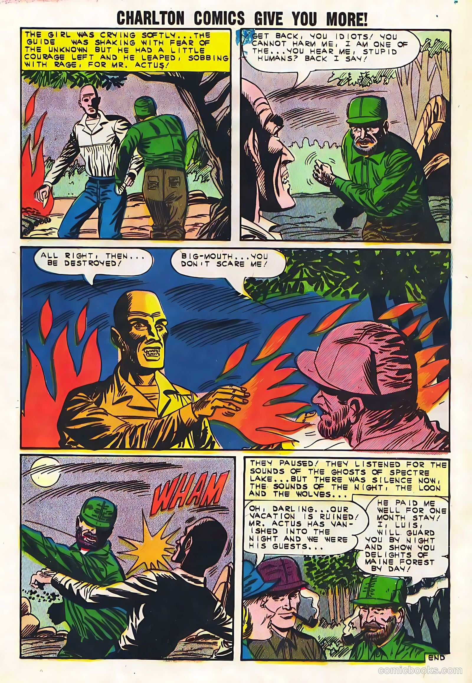 Mysteries of Unexplored Worlds #38 (1963) — page 13 of 36