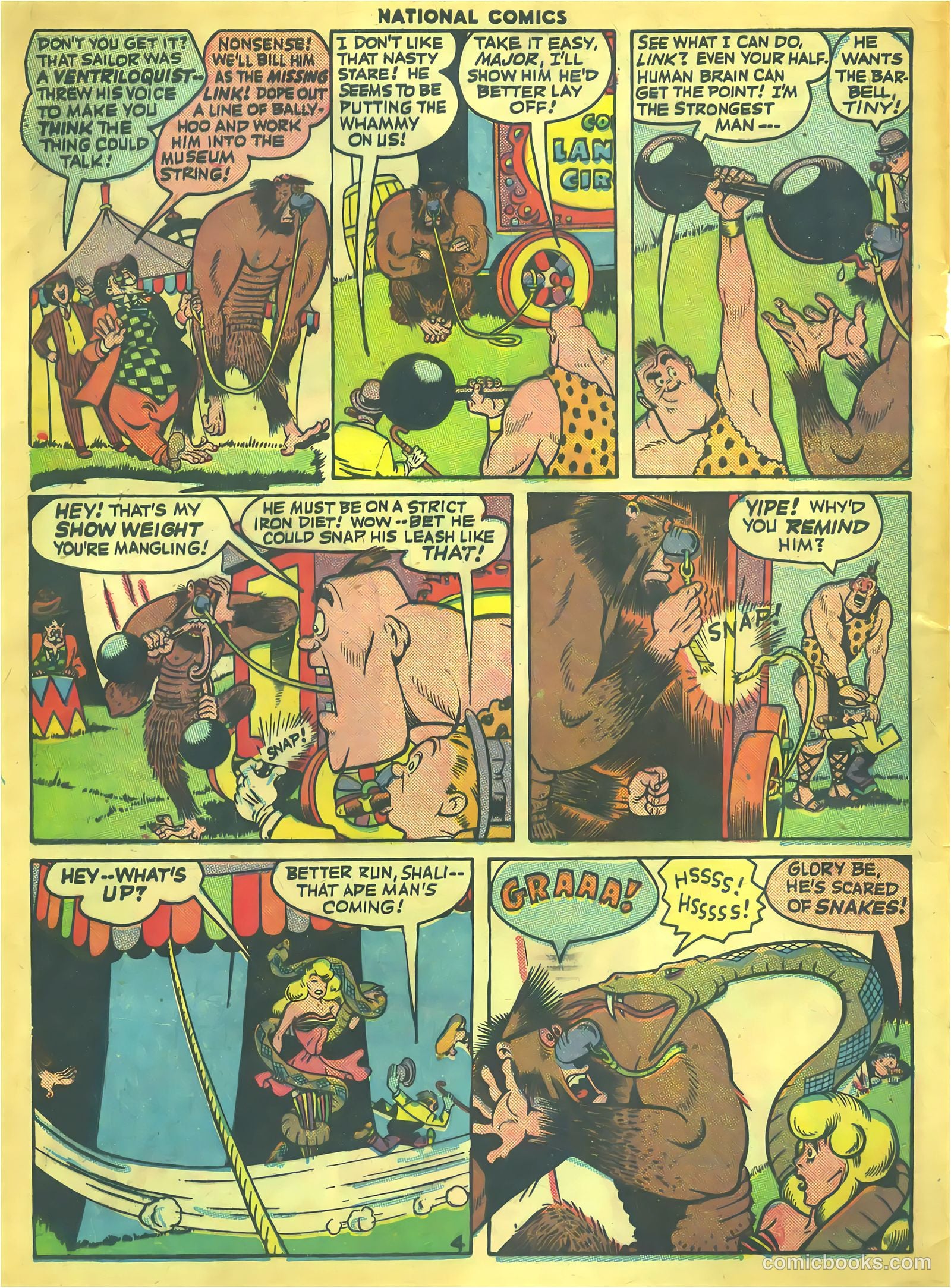National Comics #51 (1945) — page 6 of 60