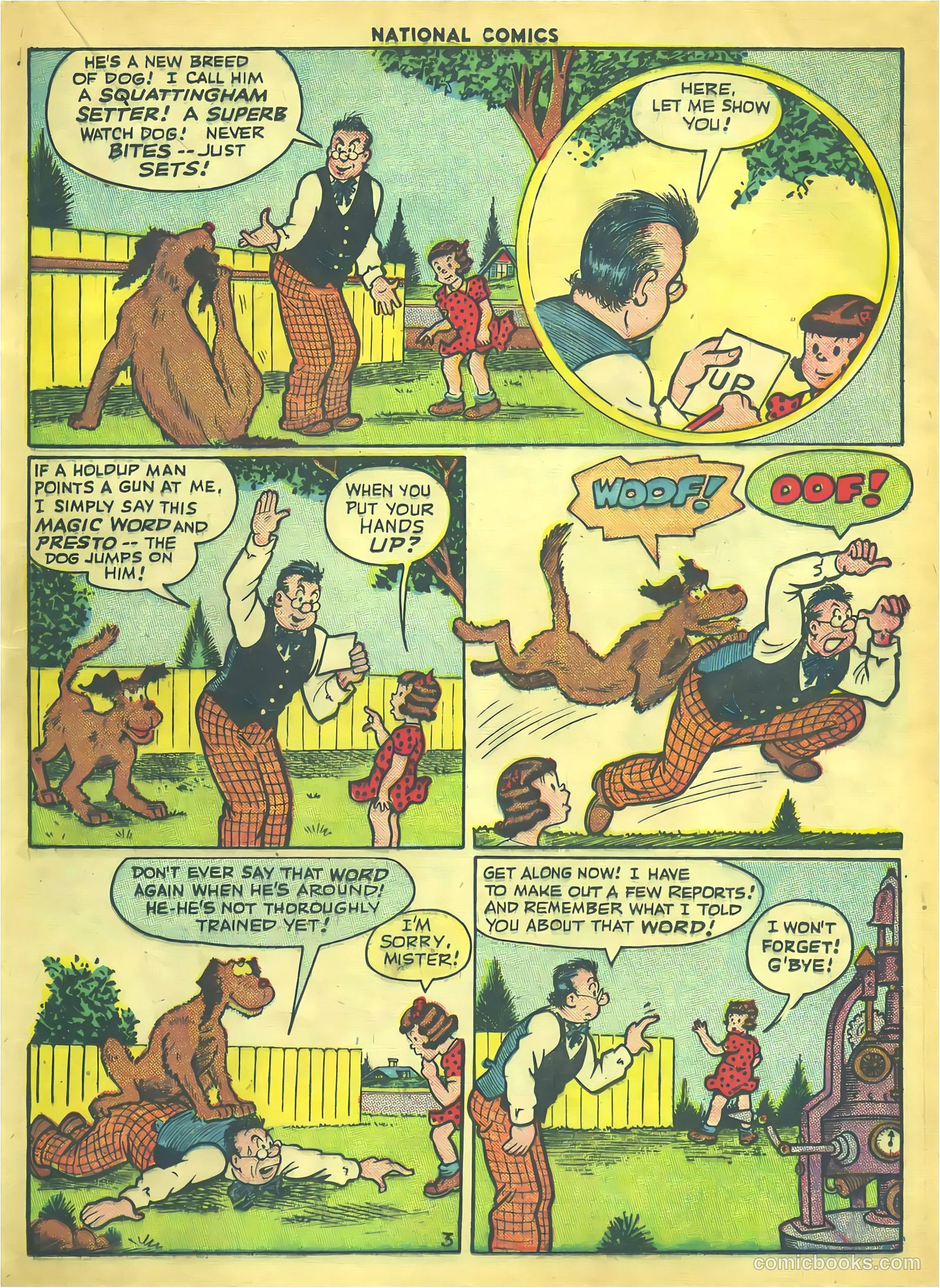 National Comics #51 (1945) — page 25 of 60