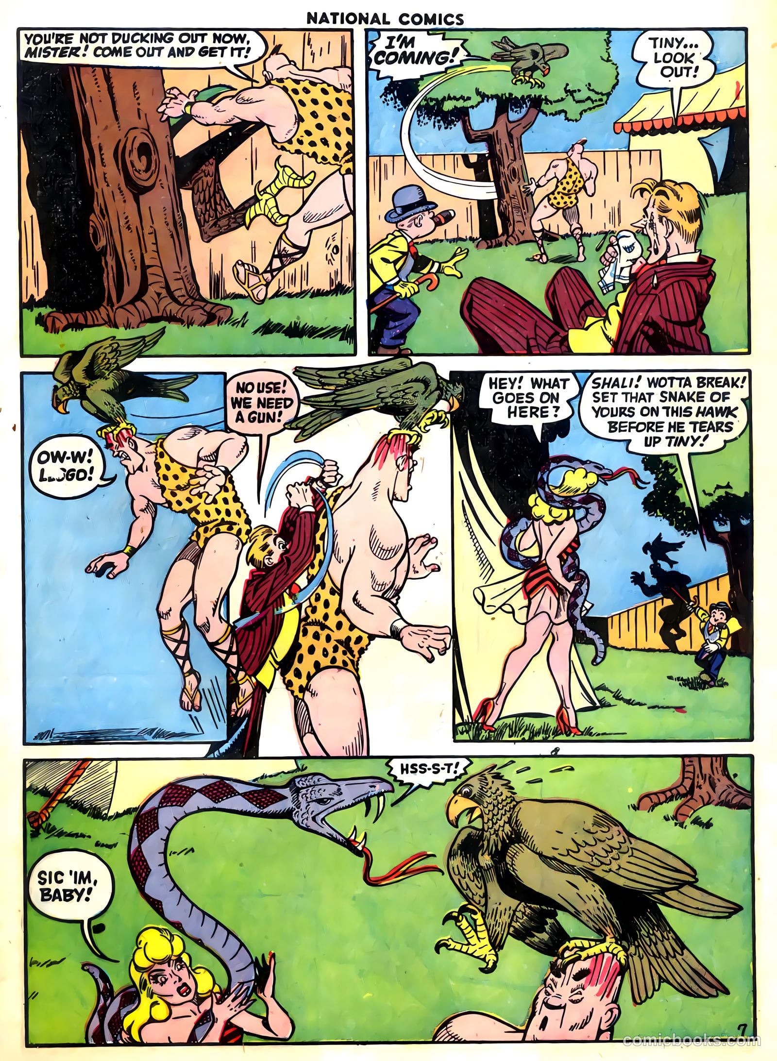 National Comics #55 (1946) — page 9 of 60