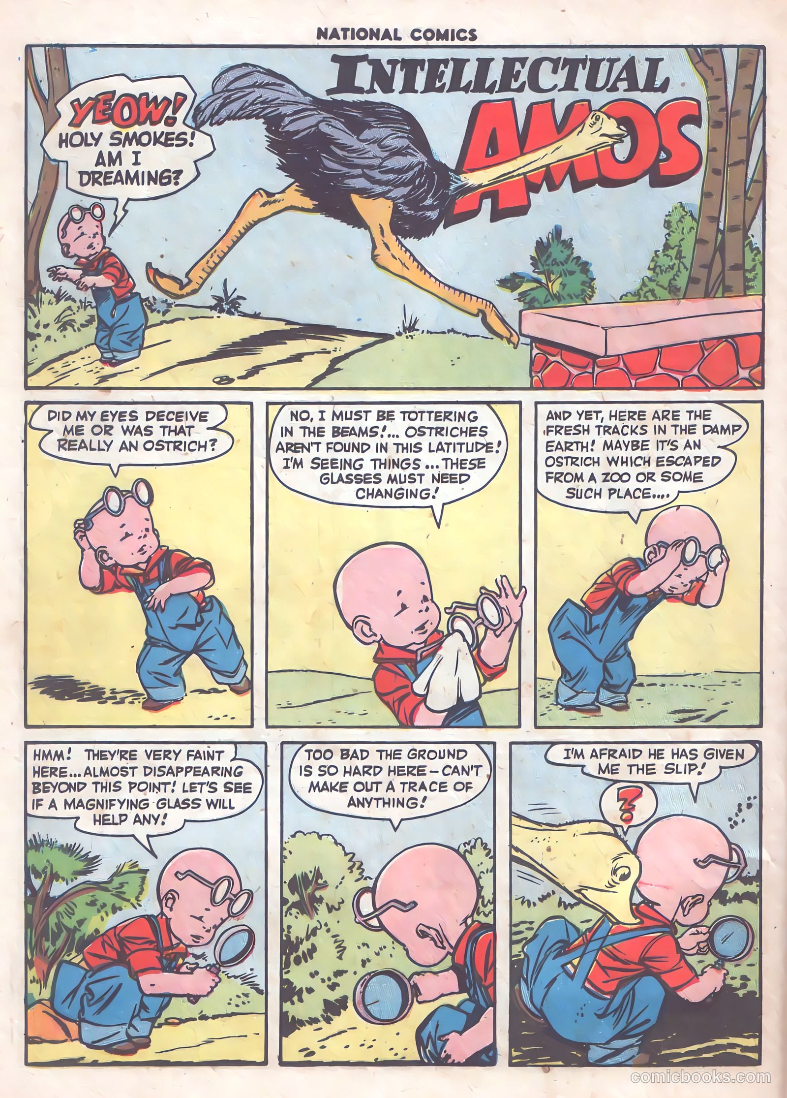 National Comics #58 (1947) — page 37 of 61