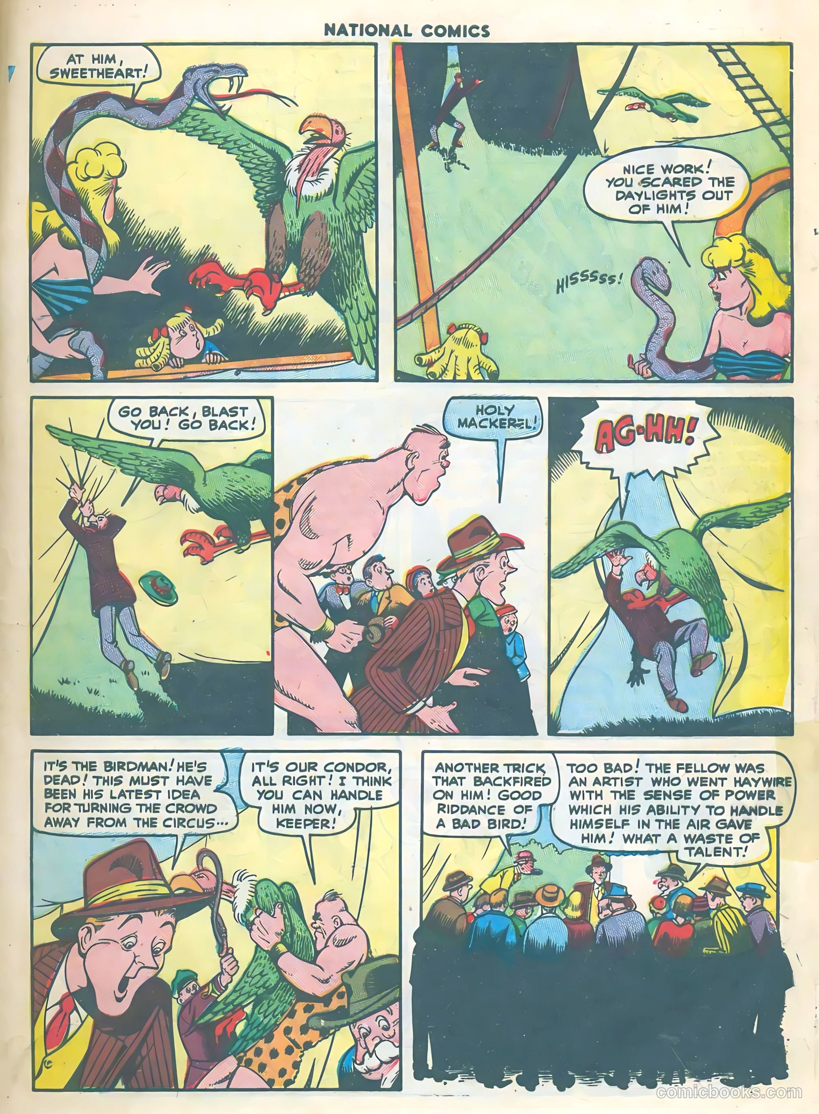 National Comics #59 (1947) — page 13 of 60
