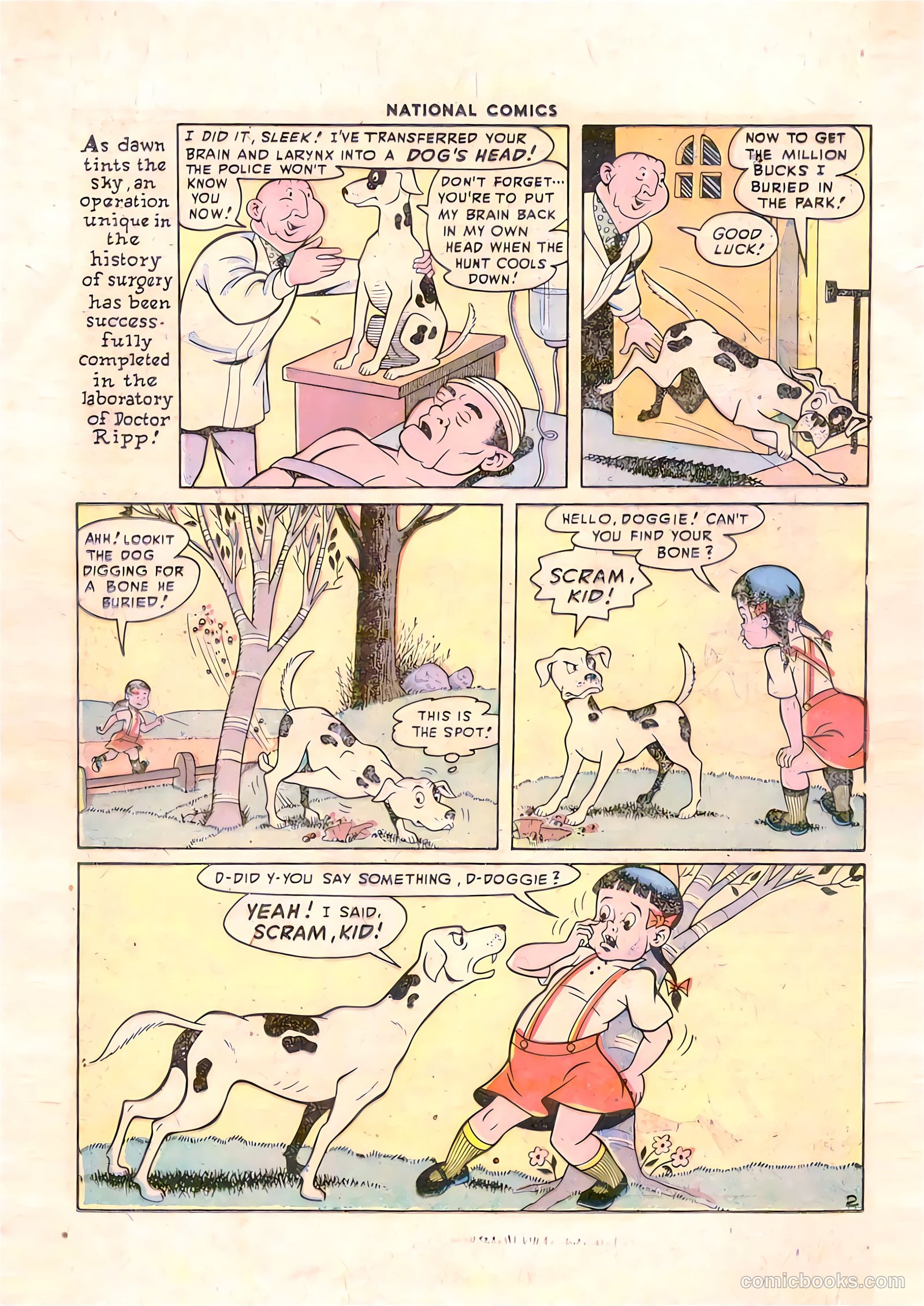 National Comics #63 (1947) — page 17 of 54