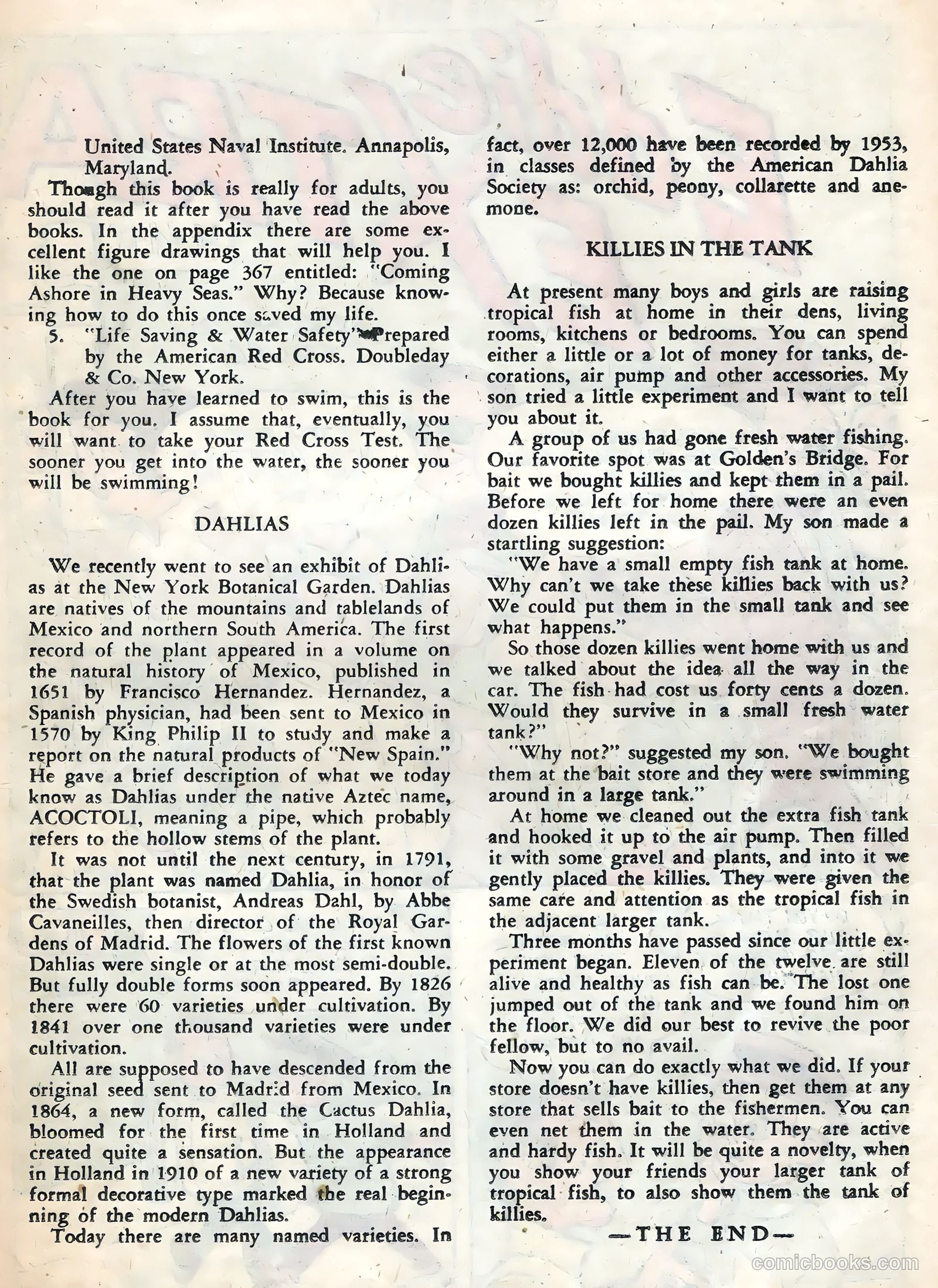 Atomic Bunny #13 (1958) — page 19 of 36