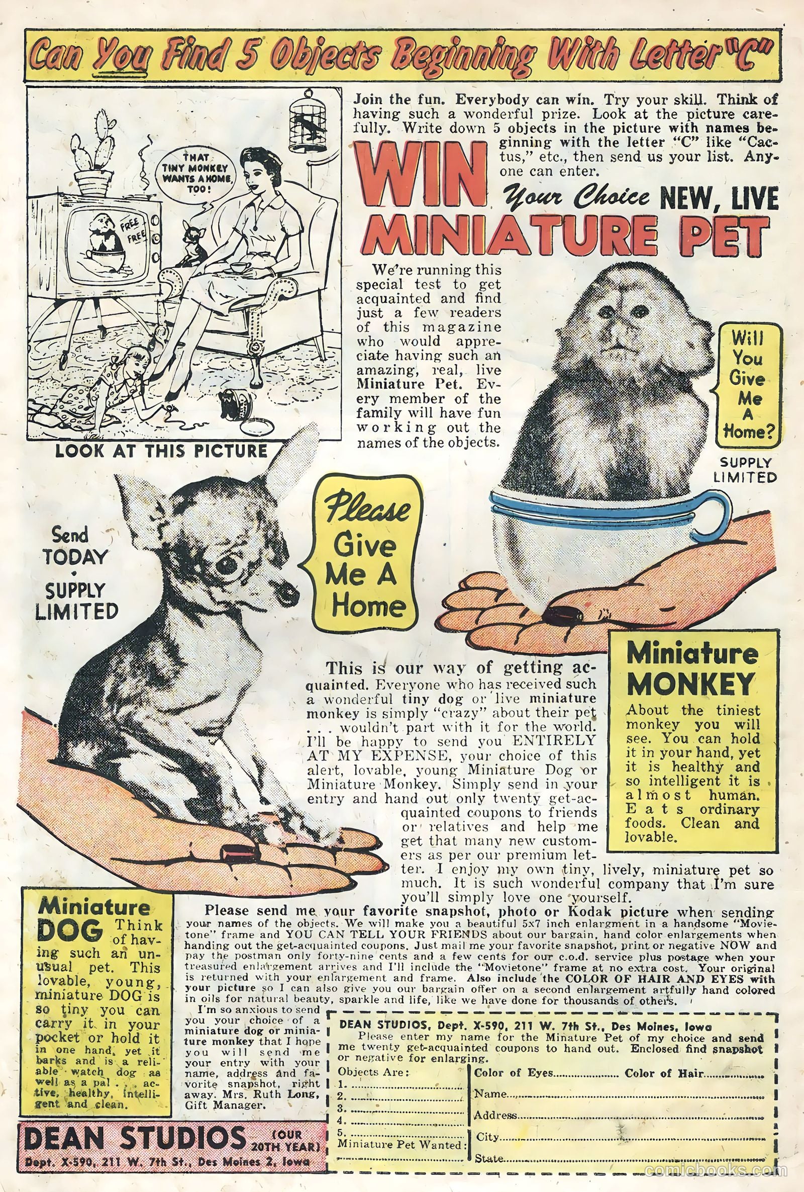 Atomic Bunny #15 (1959) — page 6 of 35