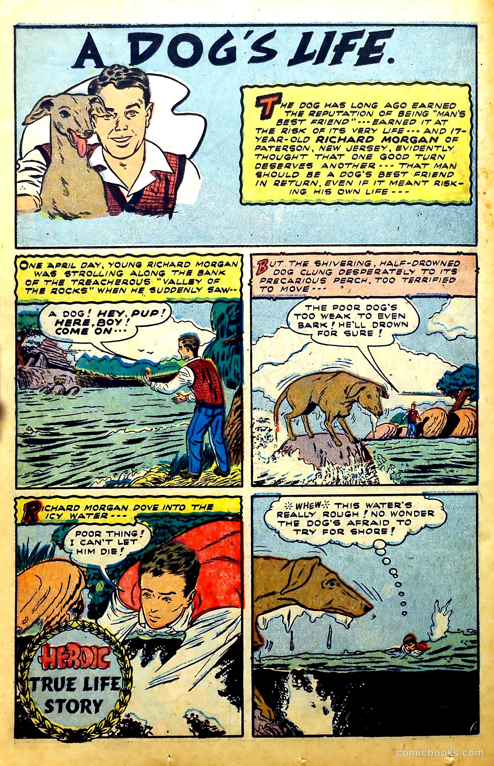 New Heroic Comics #59 (1950) — page 34 of 52