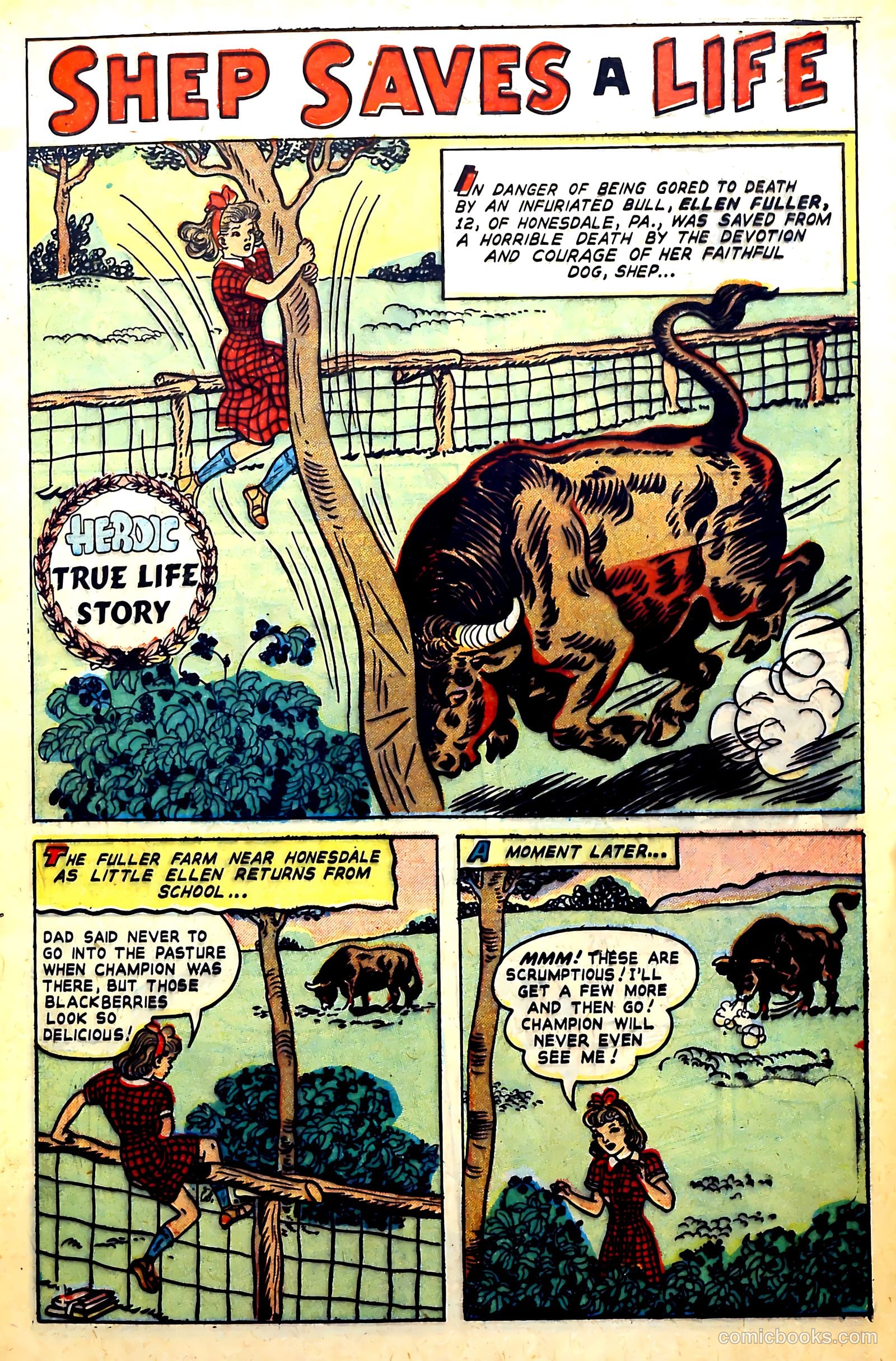 New Heroic Comics #61 (1950) — page 9 of 52