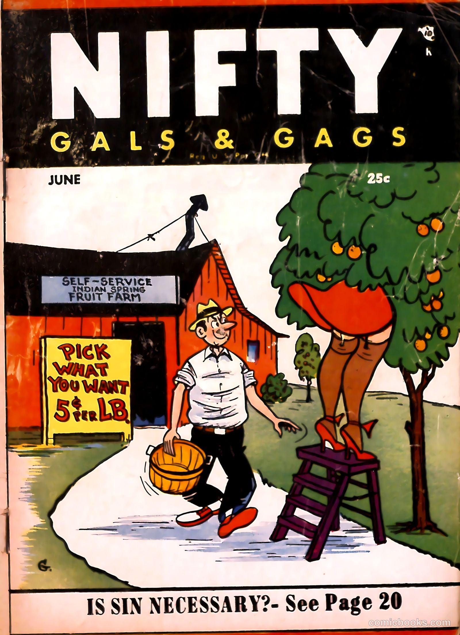 Nifty #6