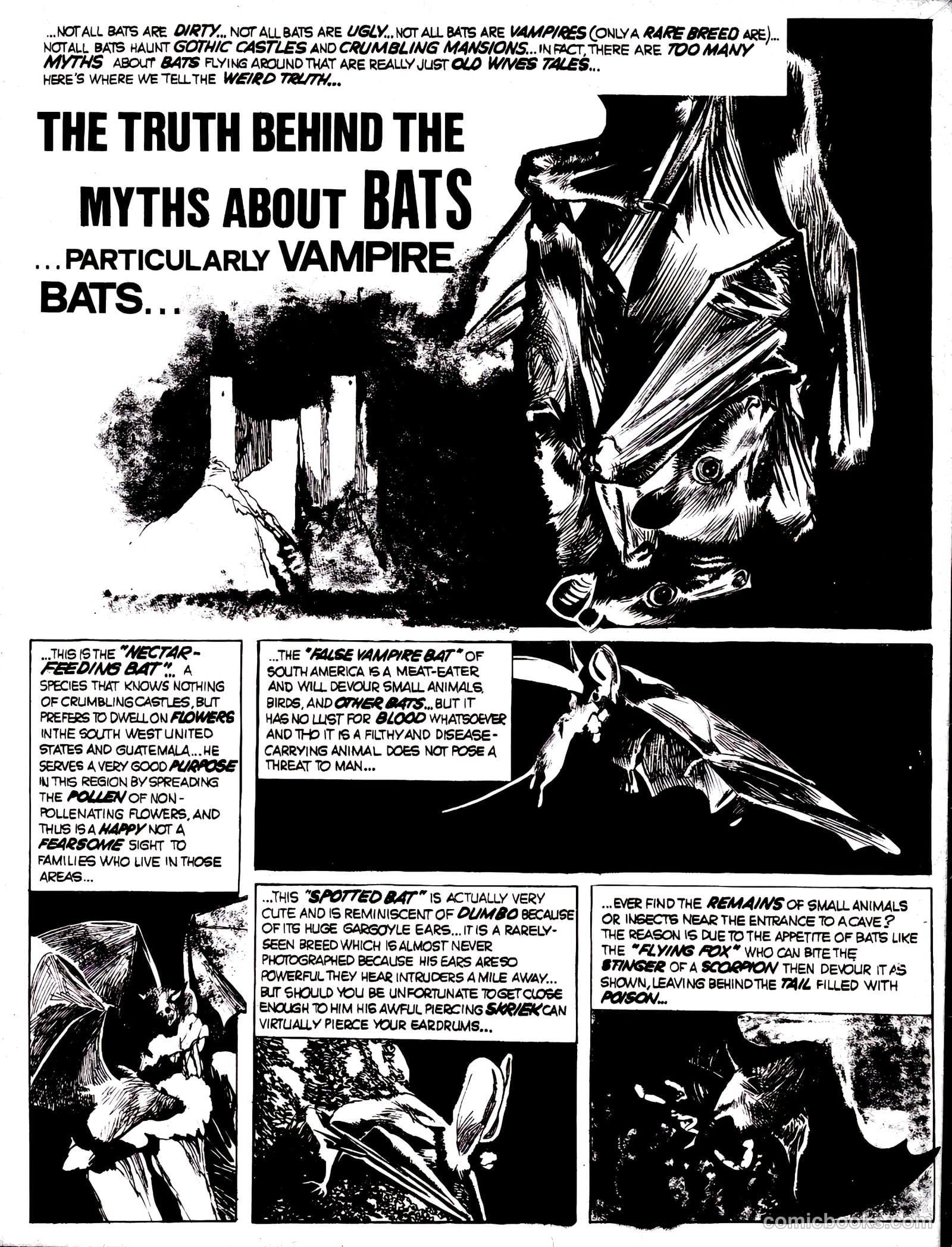 Nightmare #15 (1973) — page 19 of 65