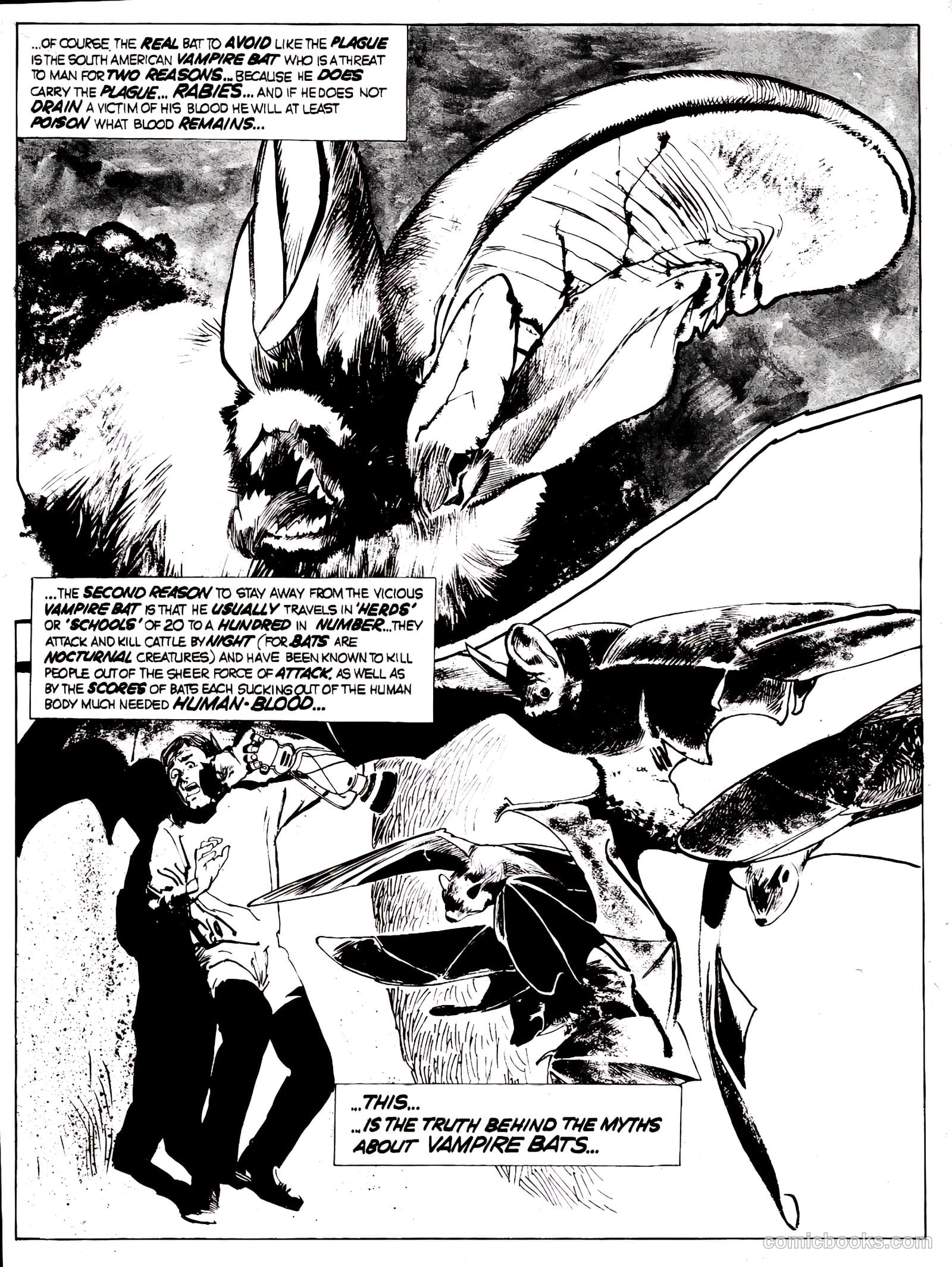 Nightmare #15 (1973) — page 20 of 65
