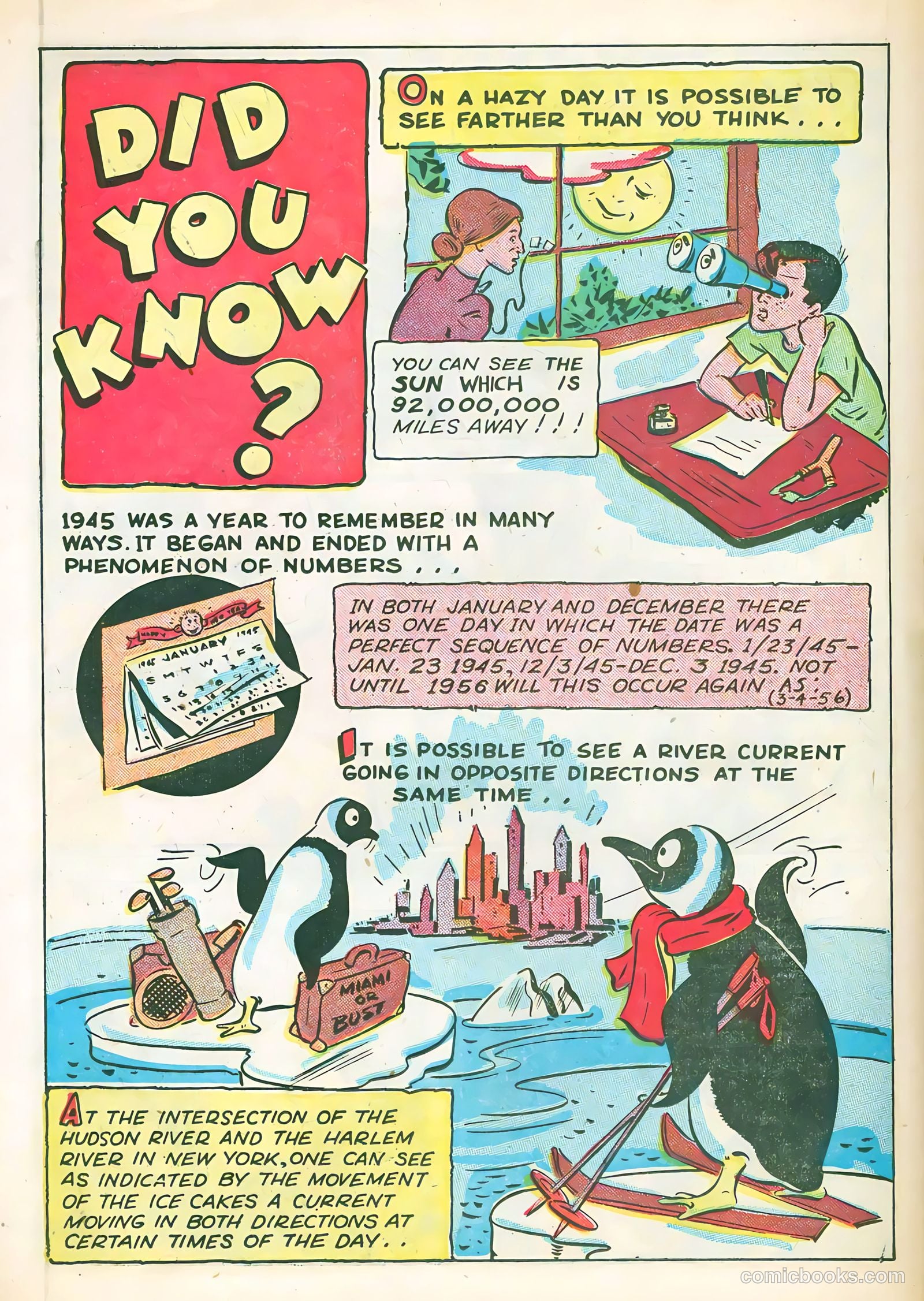 Nuttylife #2 (1946) — page 24 of 34