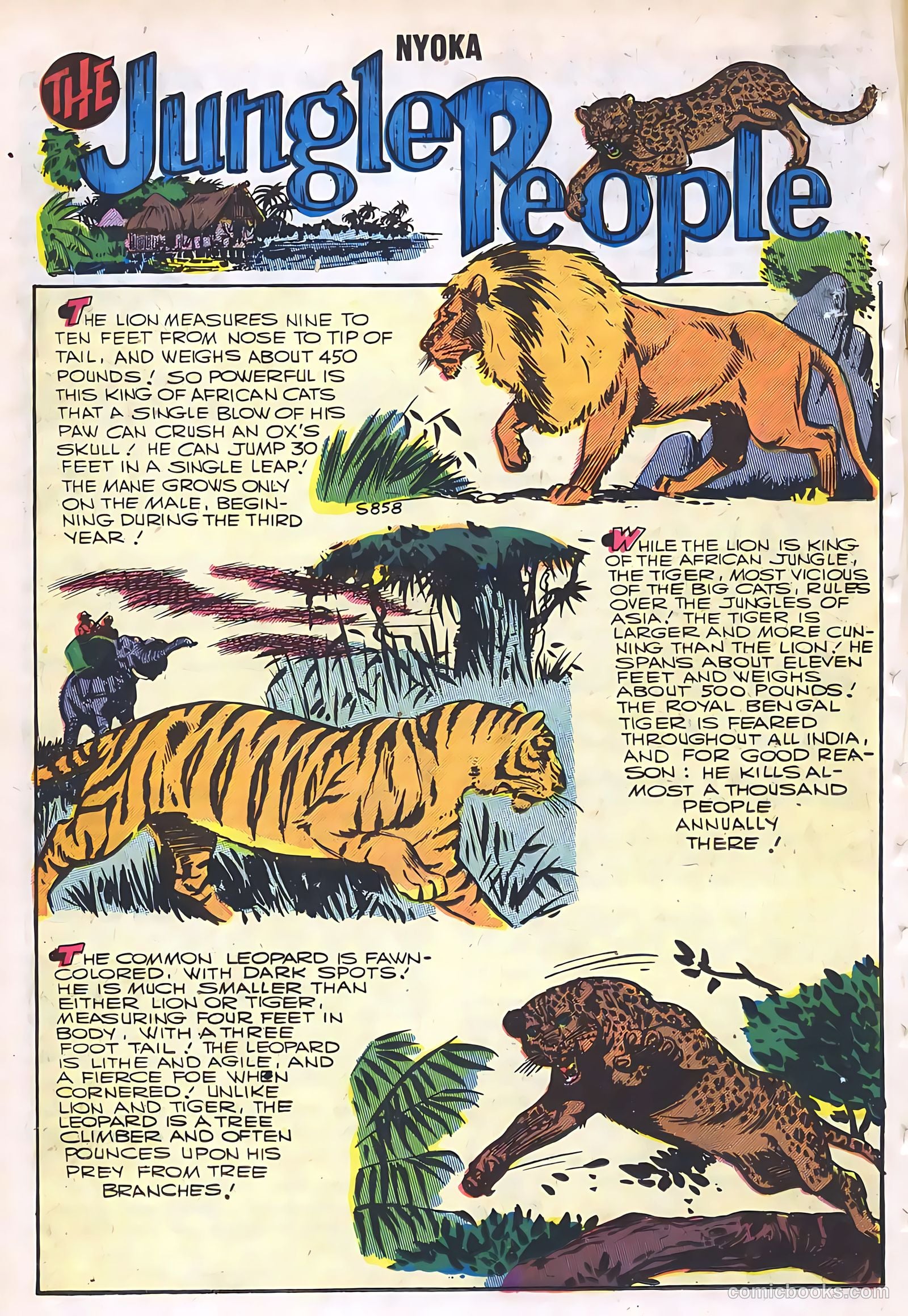 Nyoka the Jungle Girl #19 (1957) — page 18 of 36