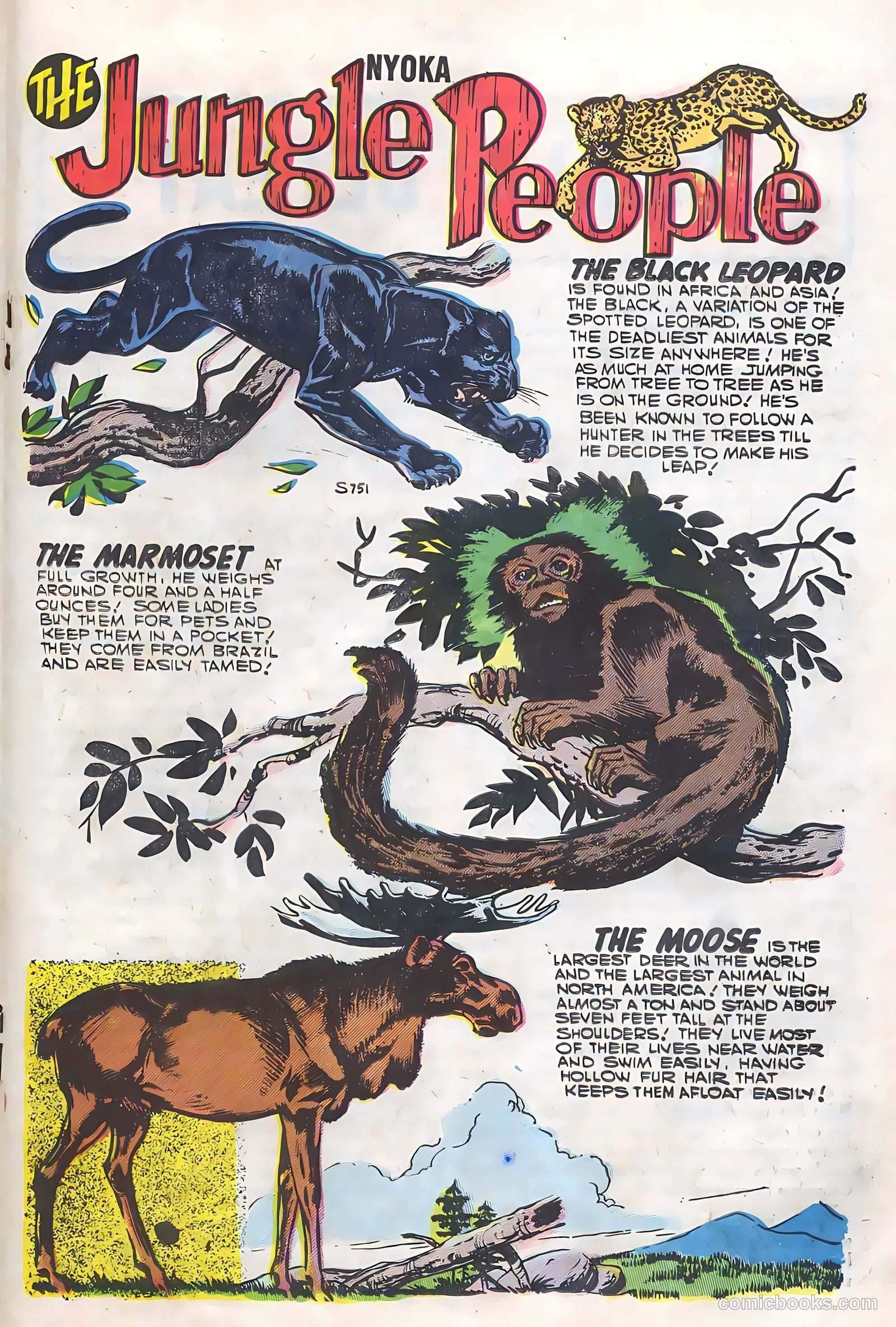 Nyoka the Jungle Girl #21 (1948) — page 19 of 36