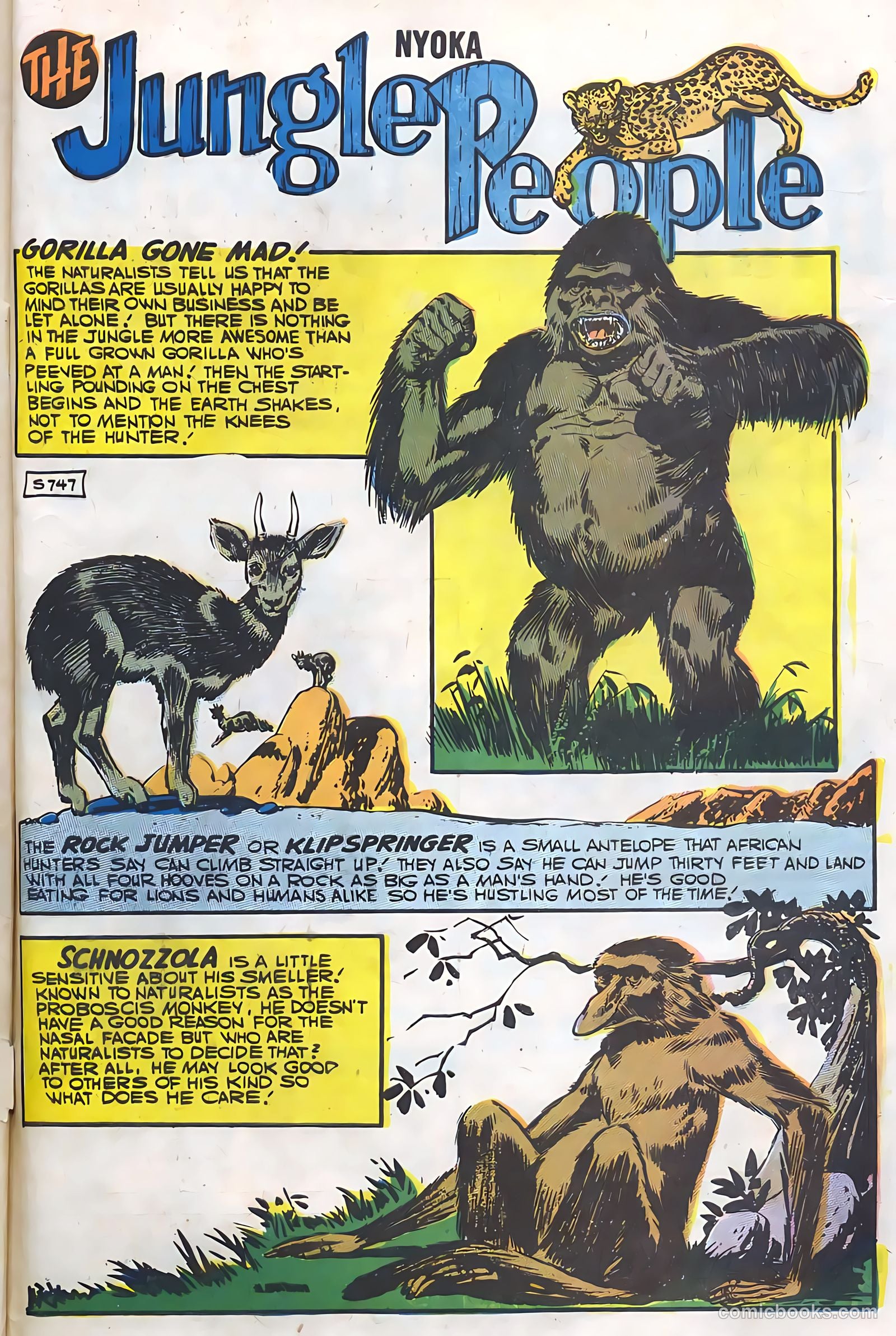 Nyoka the Jungle Girl #21 (1948) — page 33 of 36