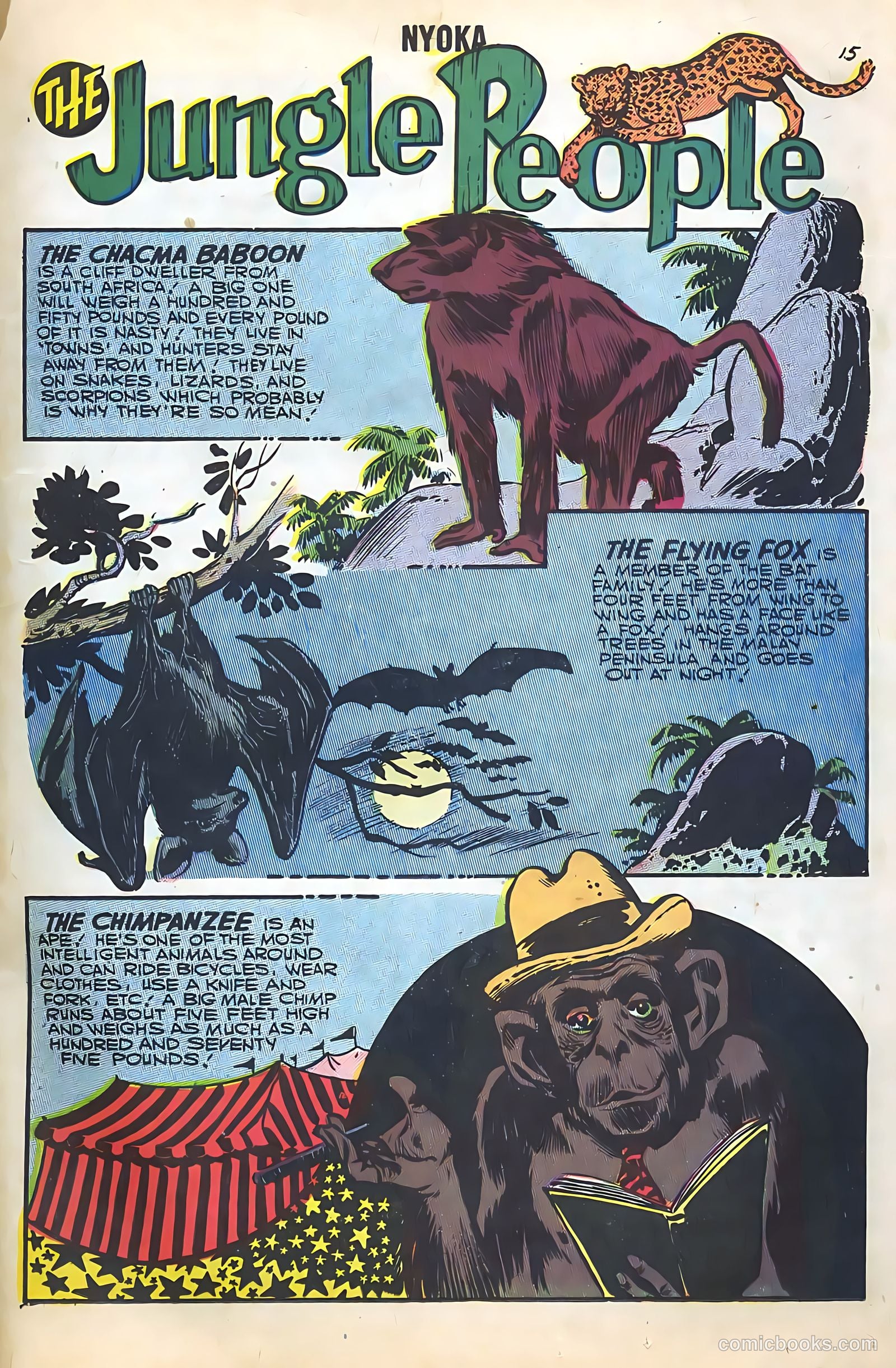 Nyoka the Jungle Girl #22 (1957) — page 17 of 36