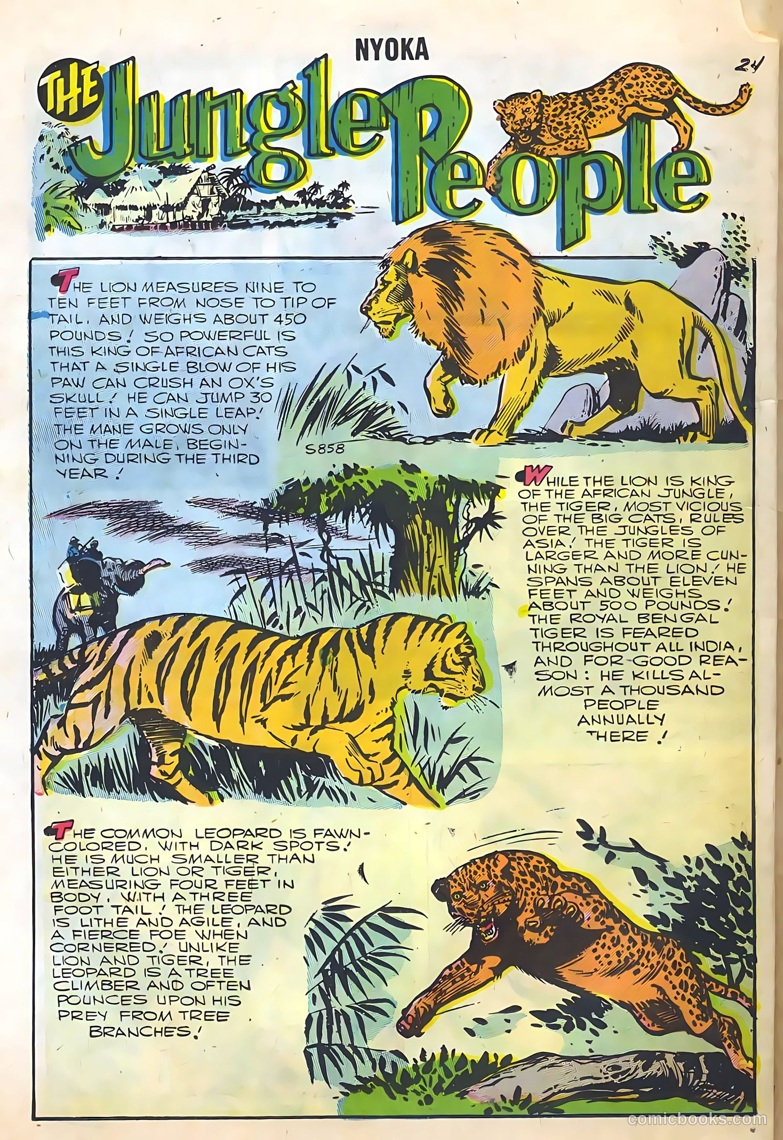 Nyoka the Jungle Girl #22 (1957) — page 26 of 36