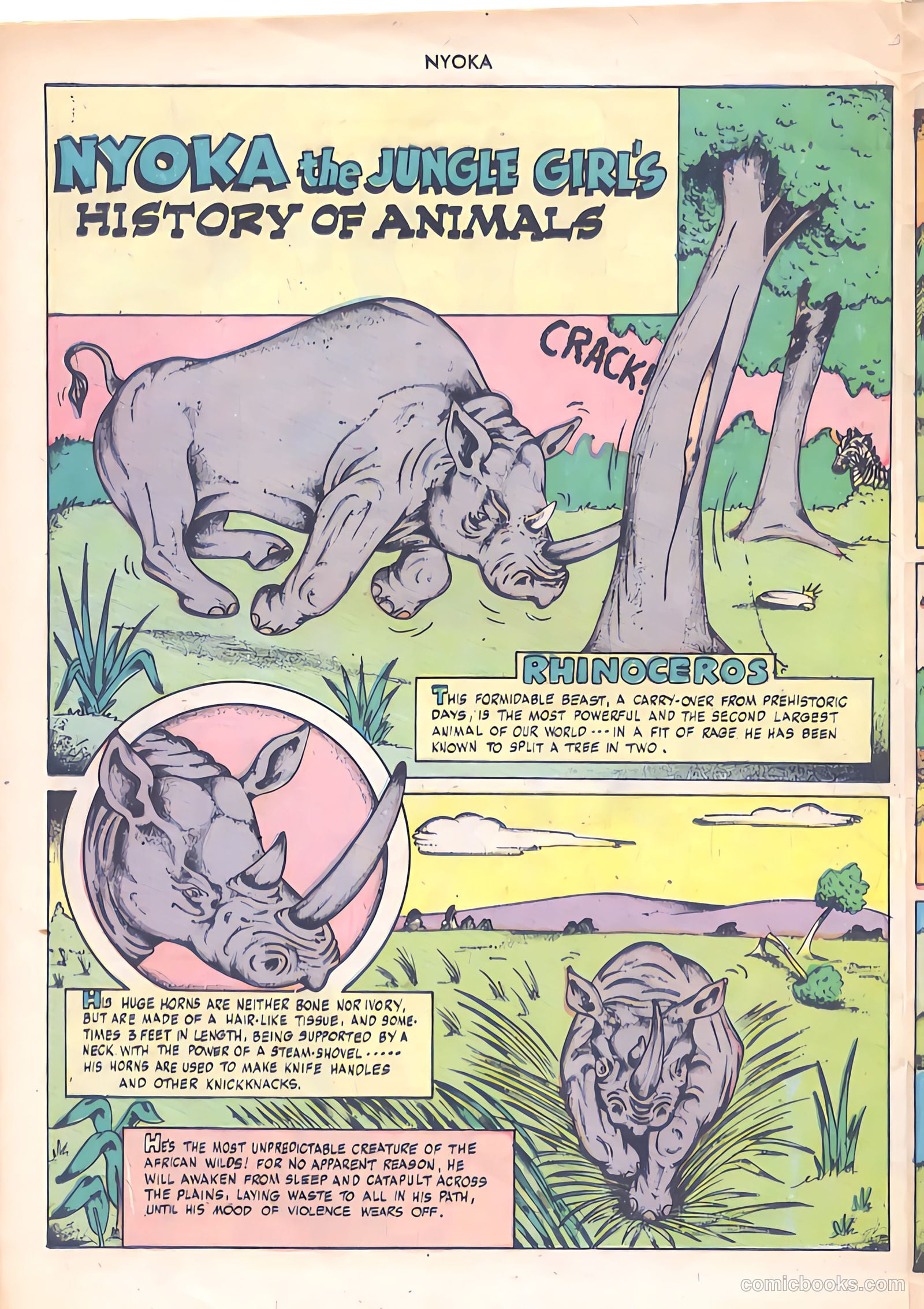Nyoka the Jungle Girl #23 (1948) — page 26 of 36