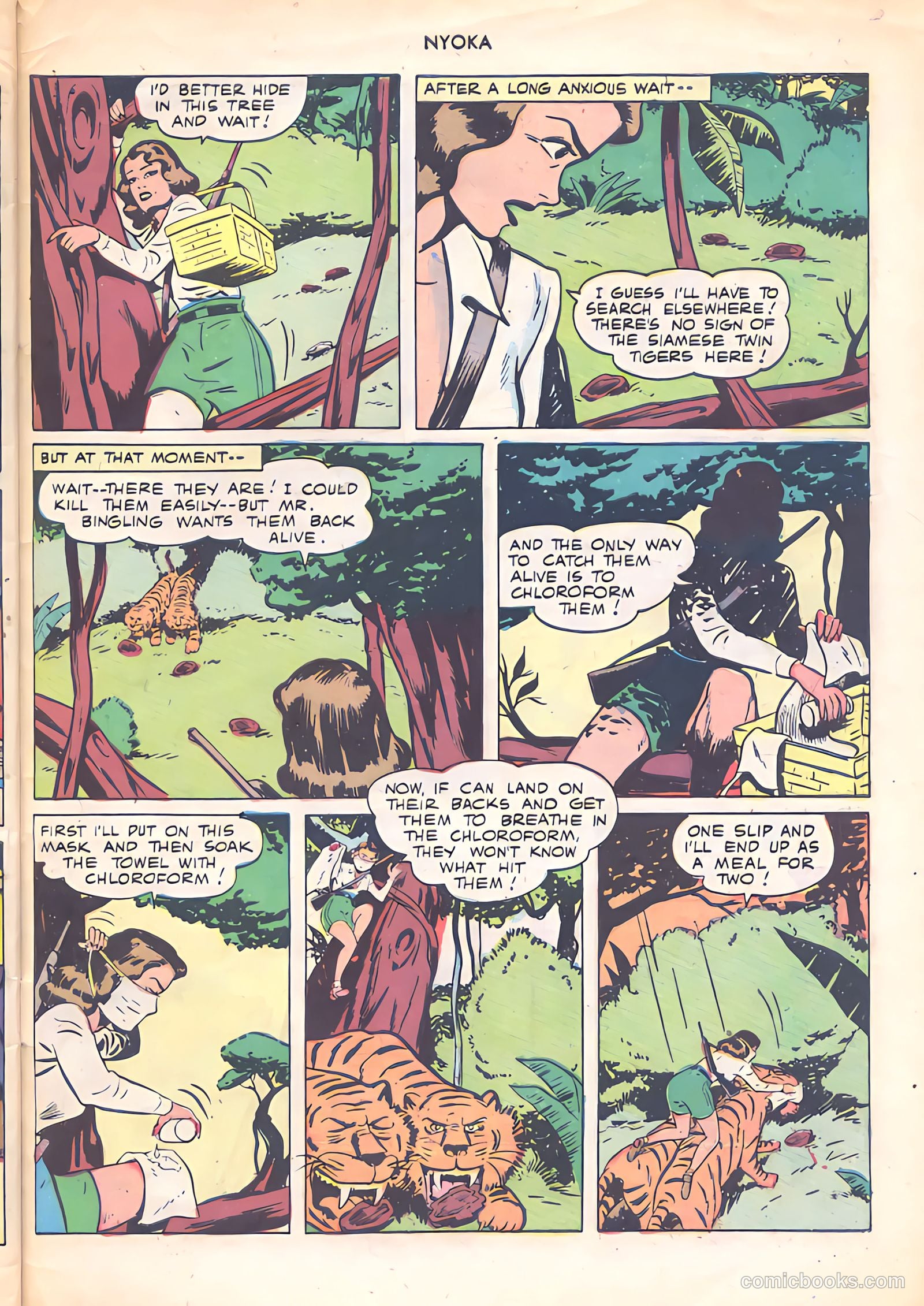 Nyoka the Jungle Girl #23 (1948) — page 31 of 36