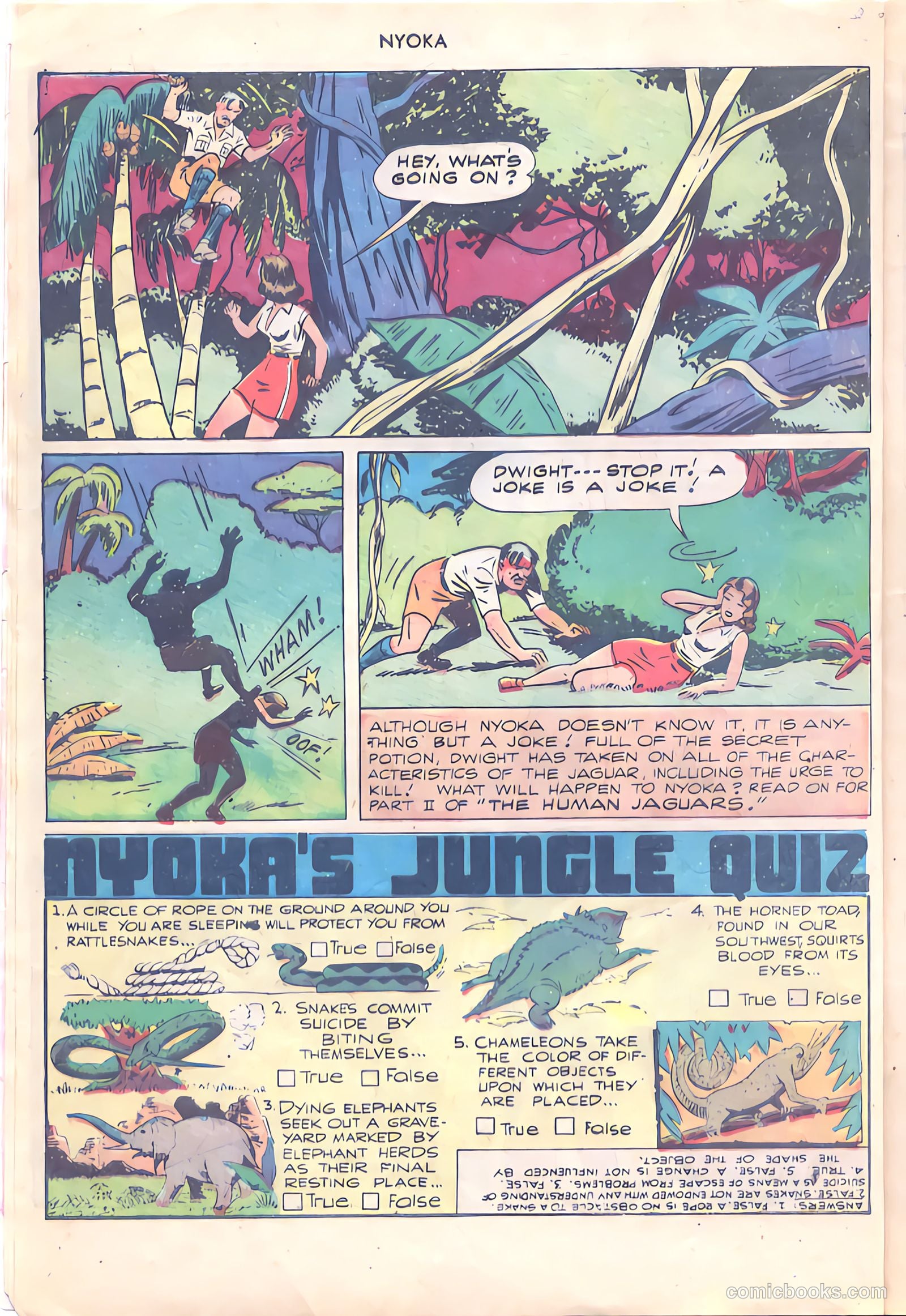 Nyoka the Jungle Girl #24 (1948) — page 8 of 36