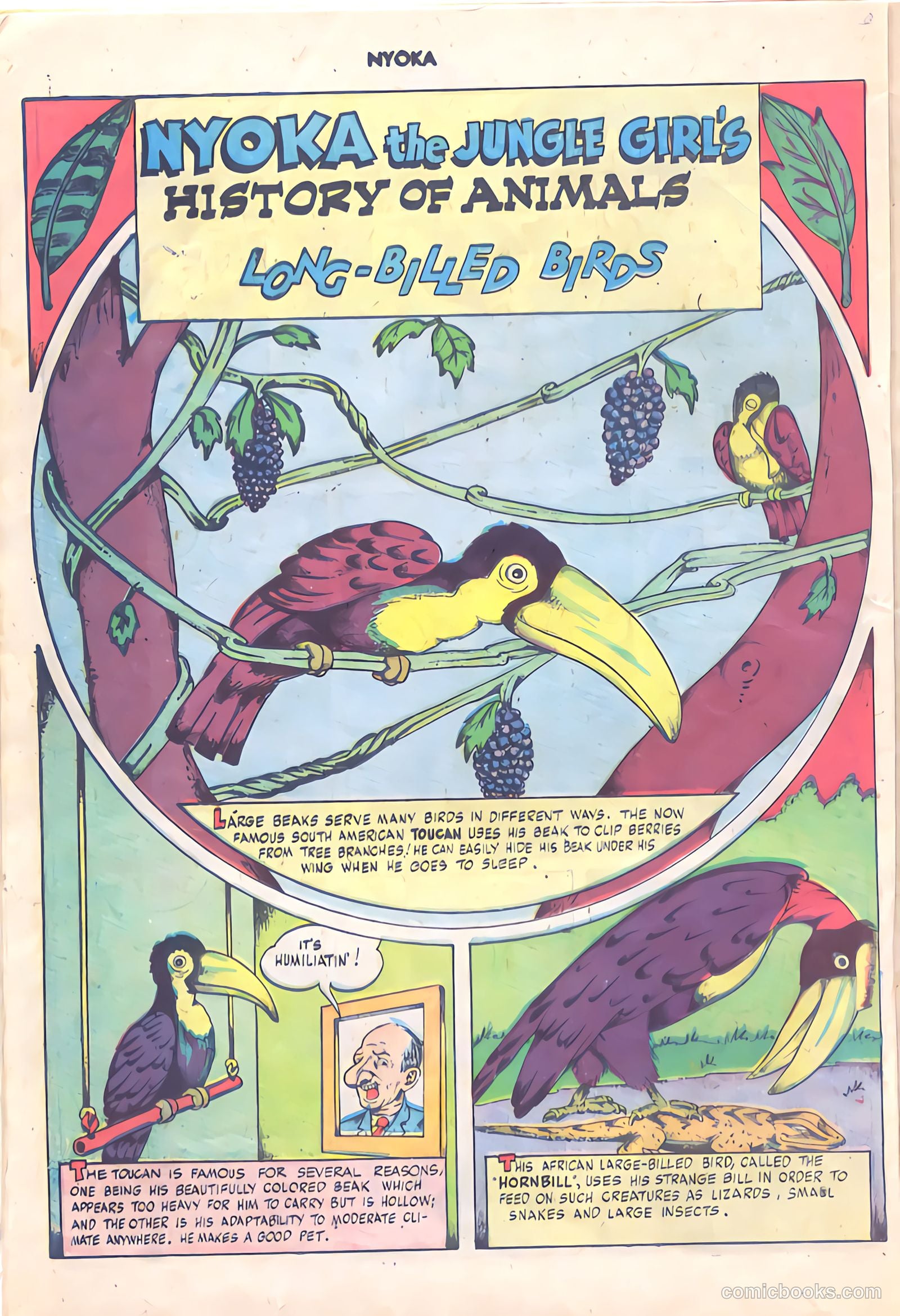 Nyoka the Jungle Girl #24 (1948) — page 22 of 36