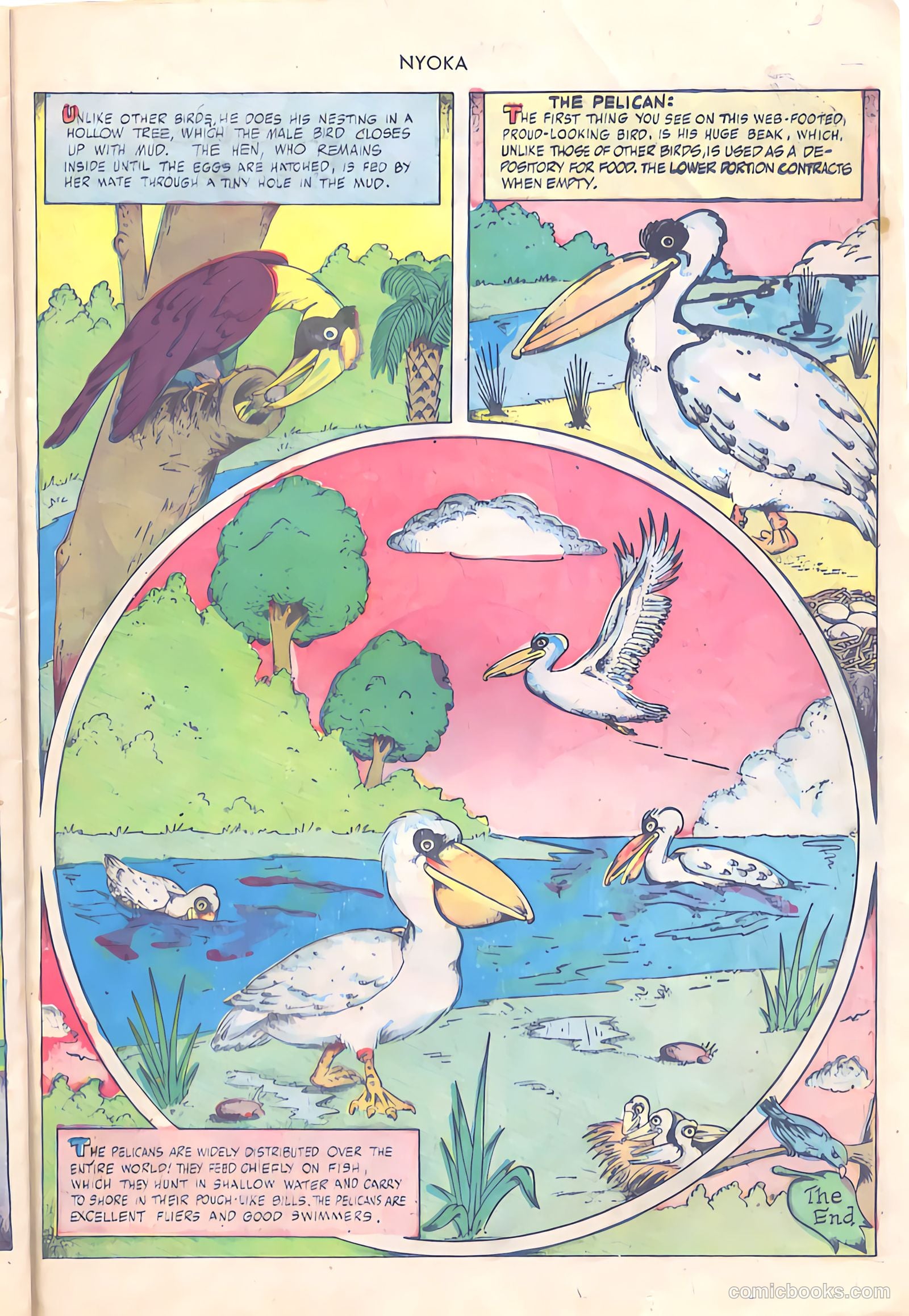 Nyoka the Jungle Girl #24 (1948) — page 23 of 36