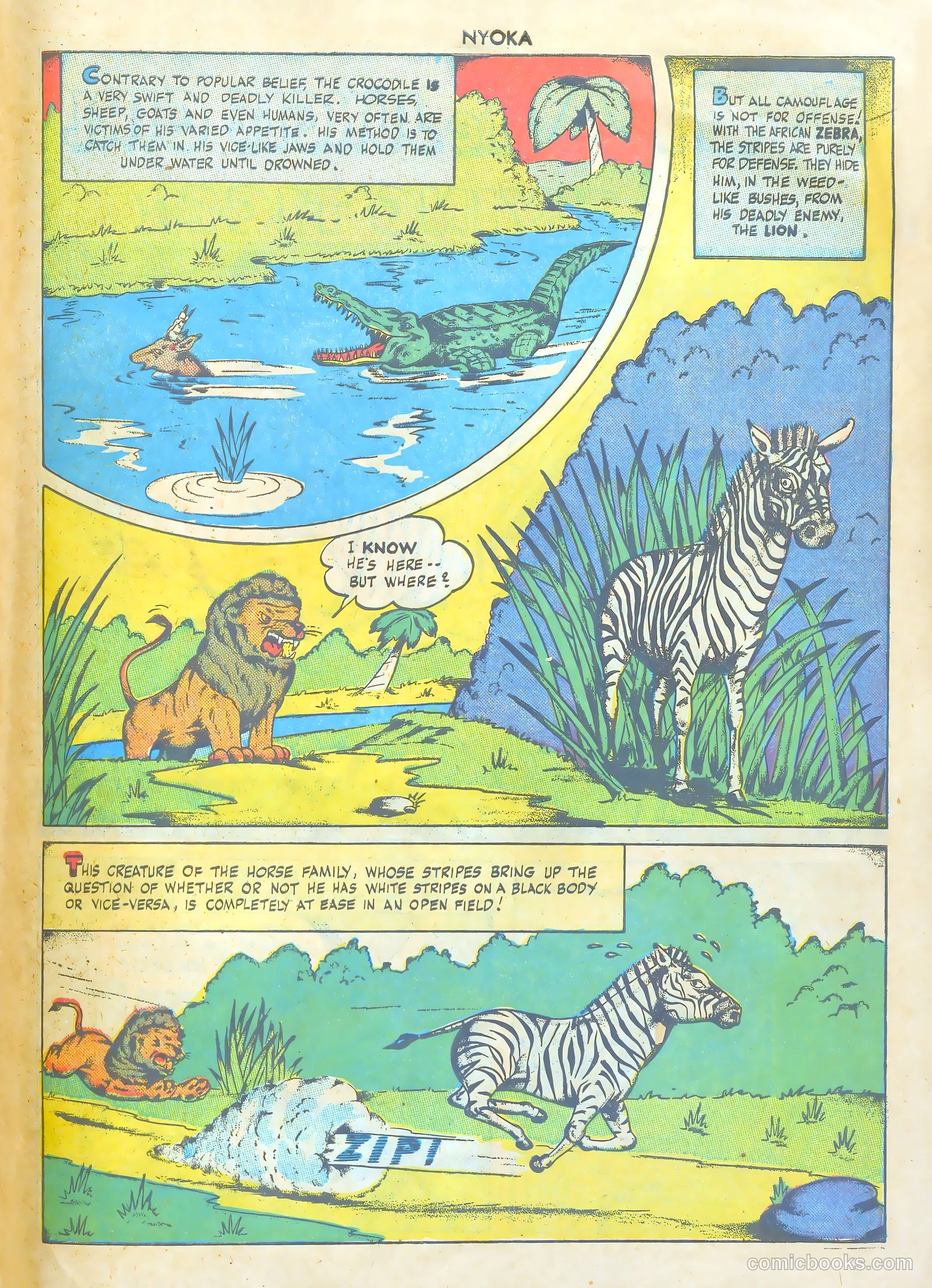 Nyoka the Jungle Girl #26 (1948) — page 41 of 52