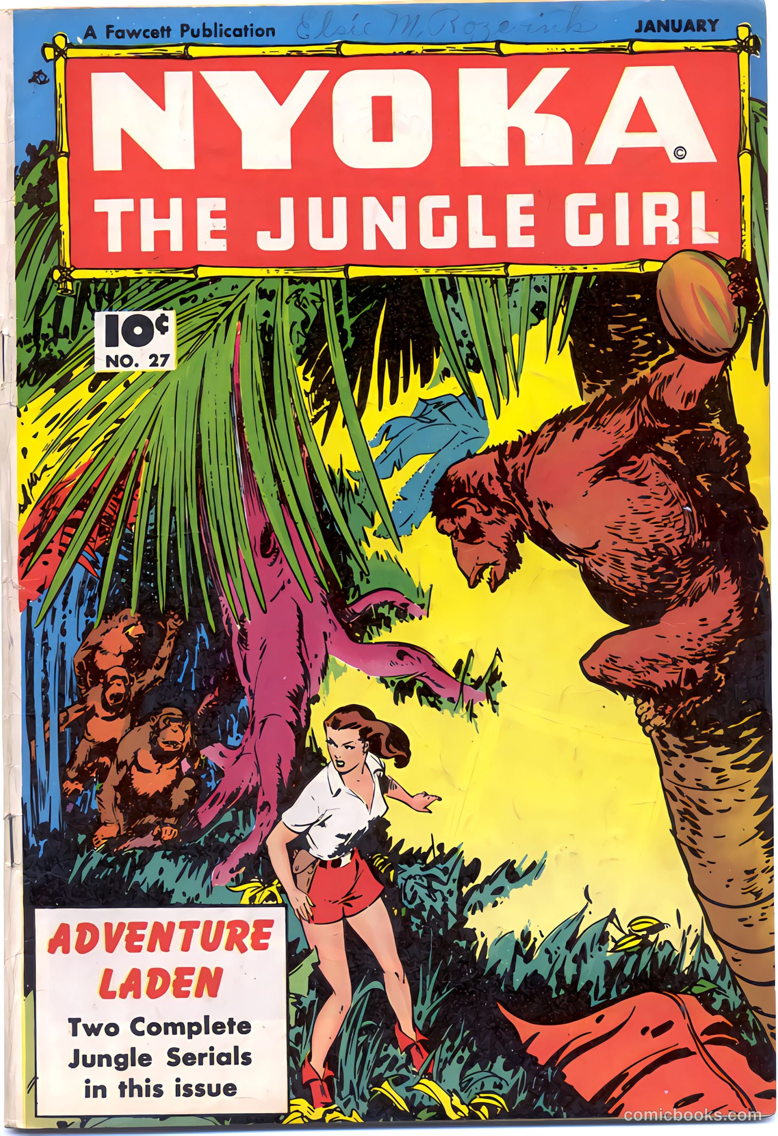 Nyoka the Jungle Girl #27