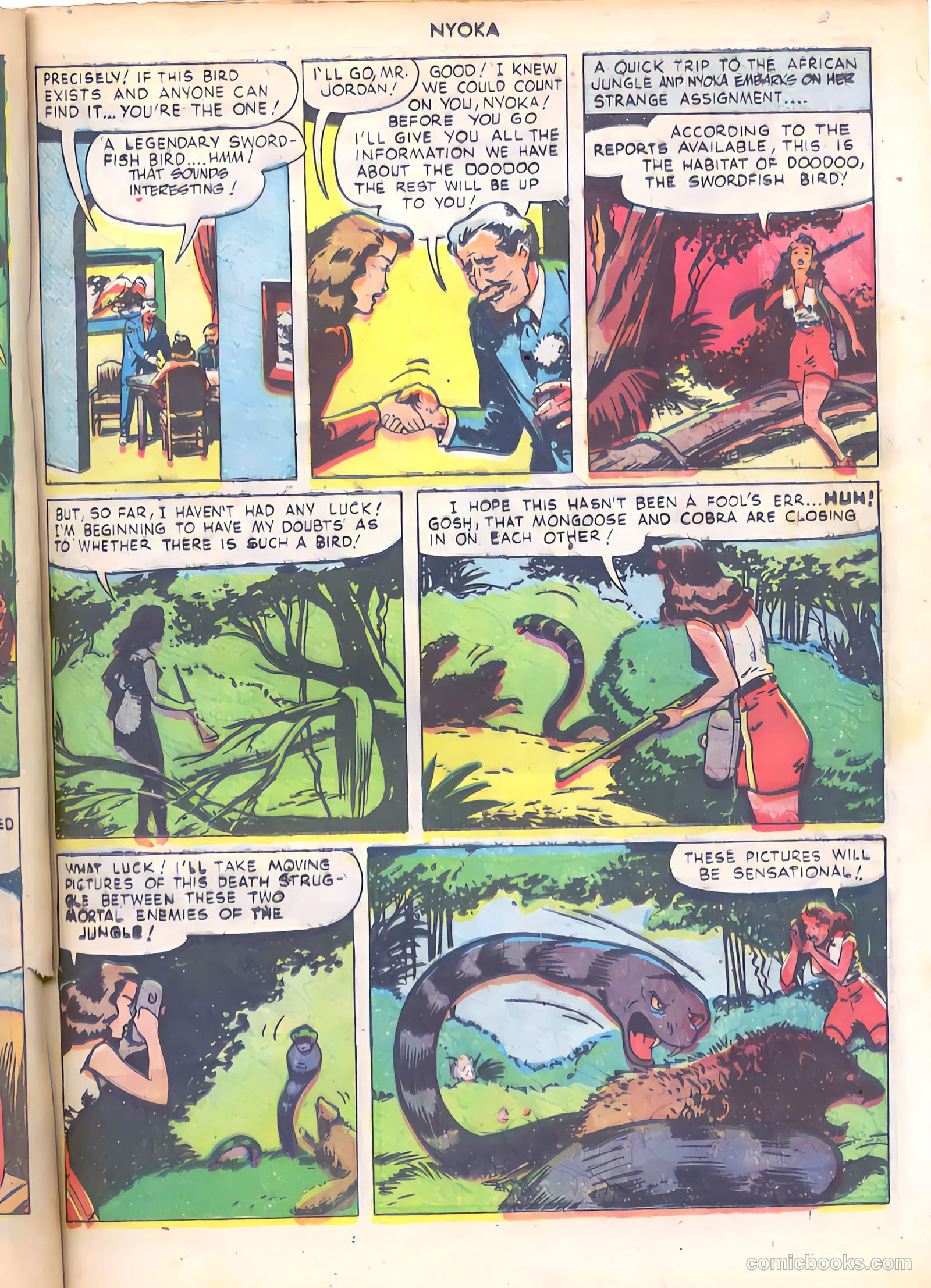 Nyoka the Jungle Girl #28 (1949) — page 31 of 52
