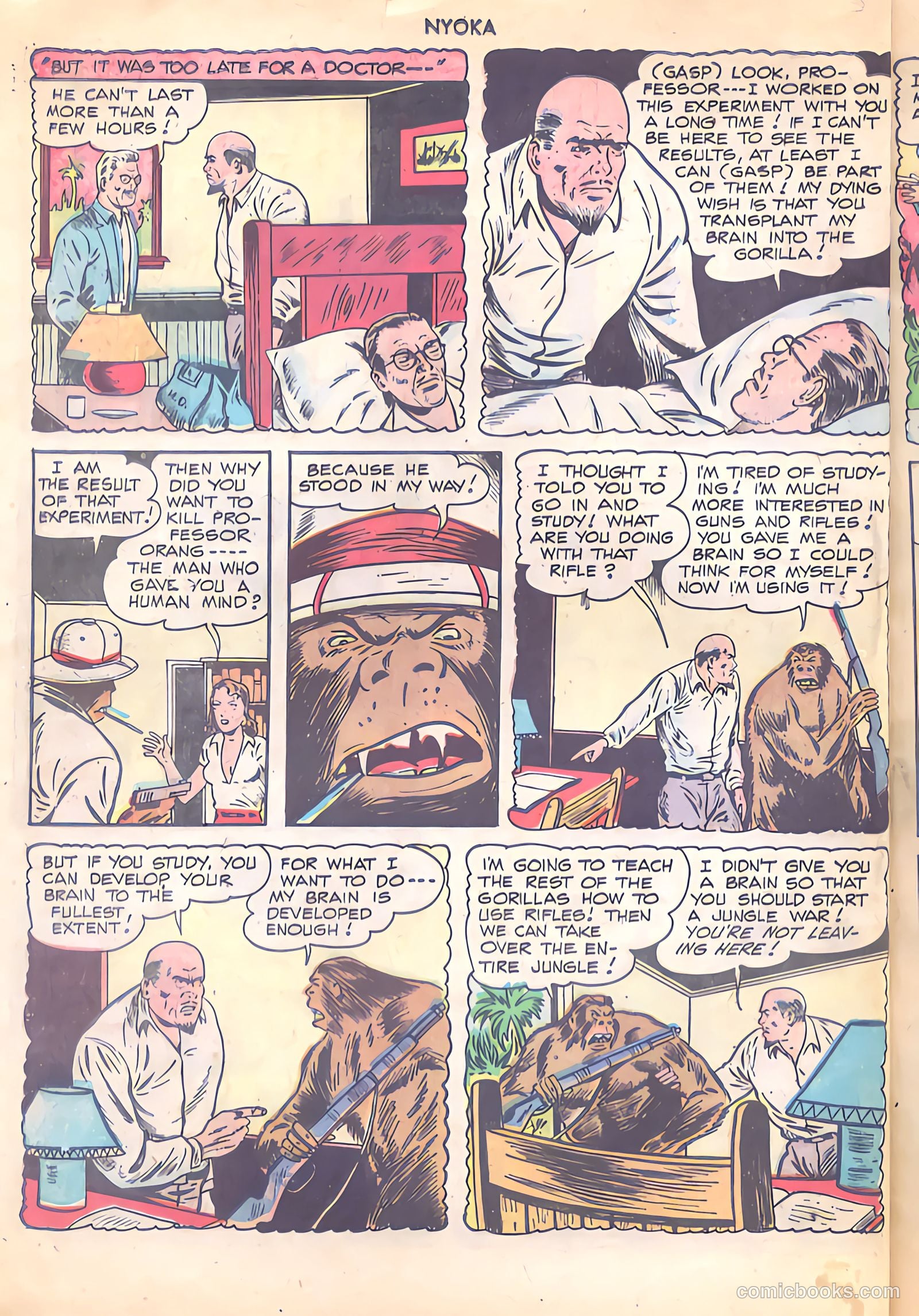 Nyoka the Jungle Girl #30 (1949) — page 14 of 52