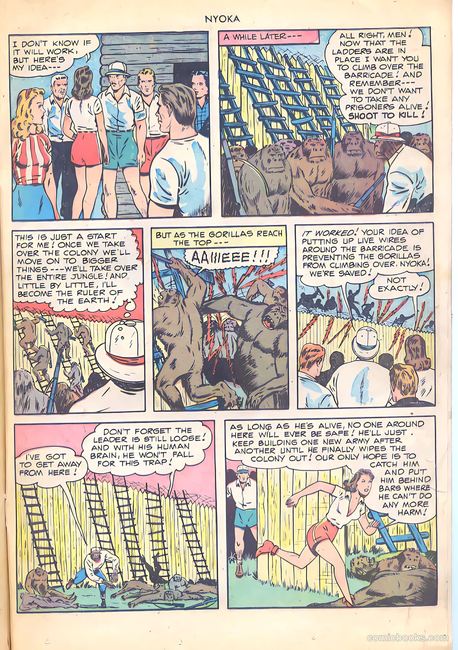 Nyoka the Jungle Girl #30 (1949) — page 25 of 52