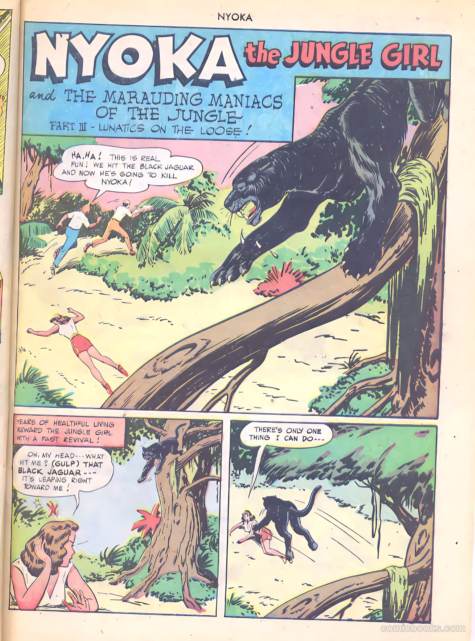 Nyoka the Jungle Girl #34 (1949) — page 43 of 52