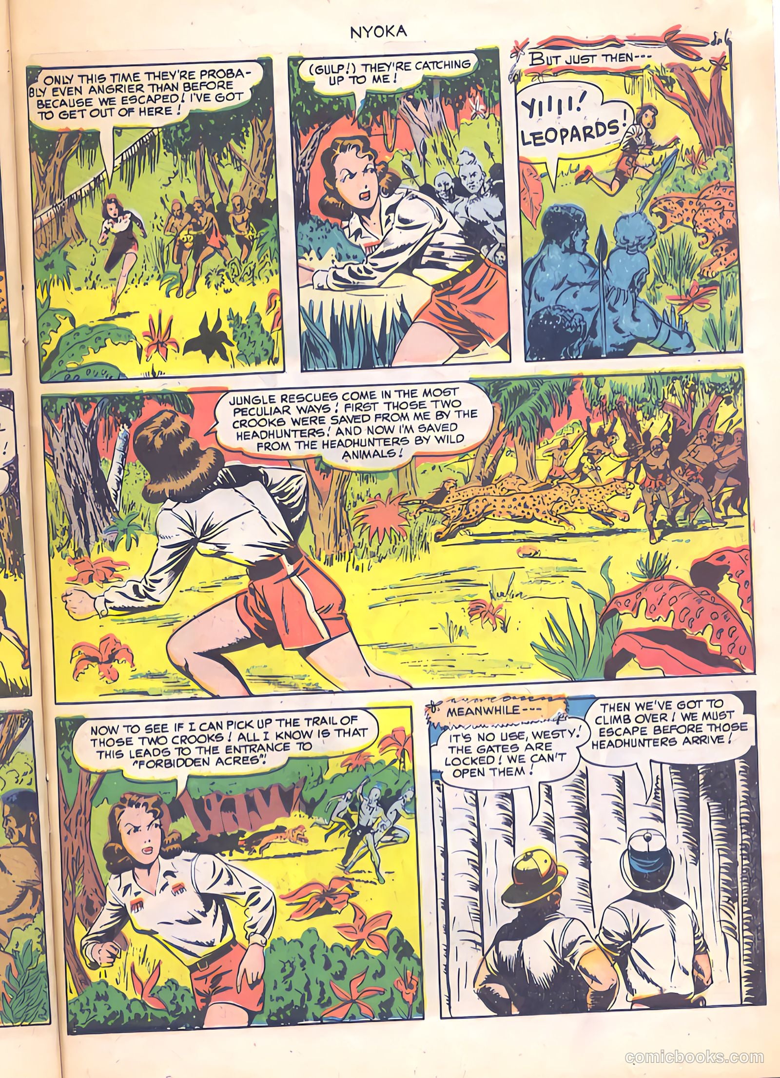 Nyoka the Jungle Girl #40 (1950) — page 23 of 36