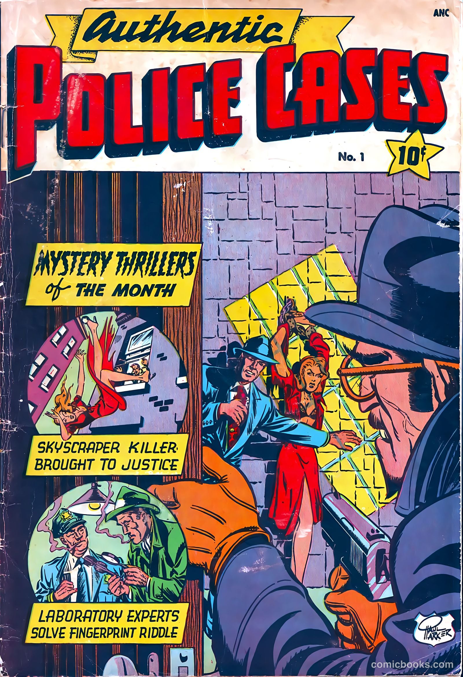 Authentic Police Cases #1