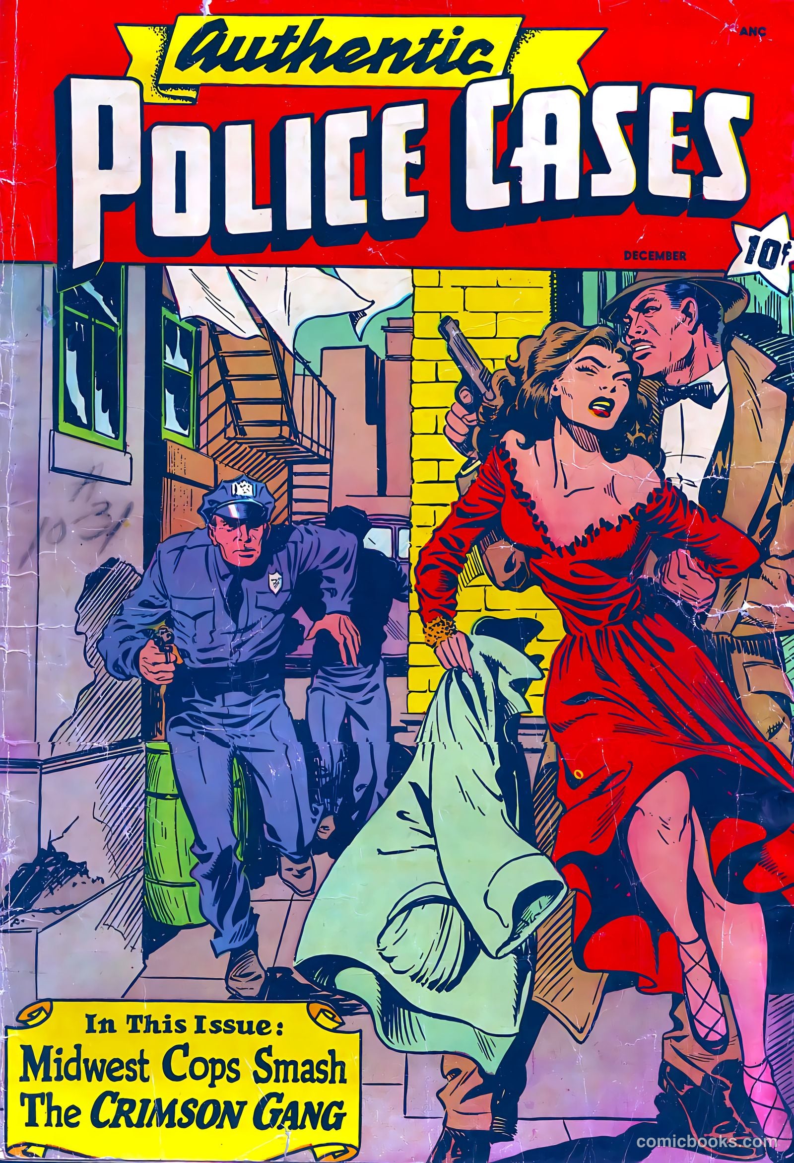 Authentic Police Cases #10