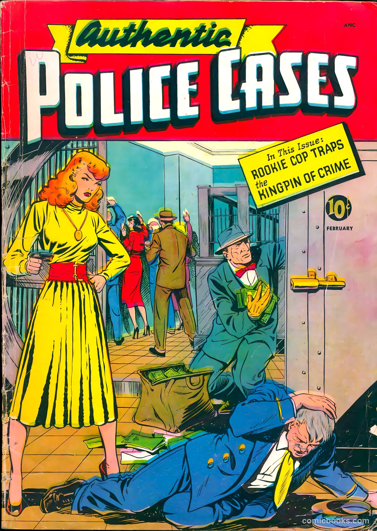 Authentic Police Cases #11