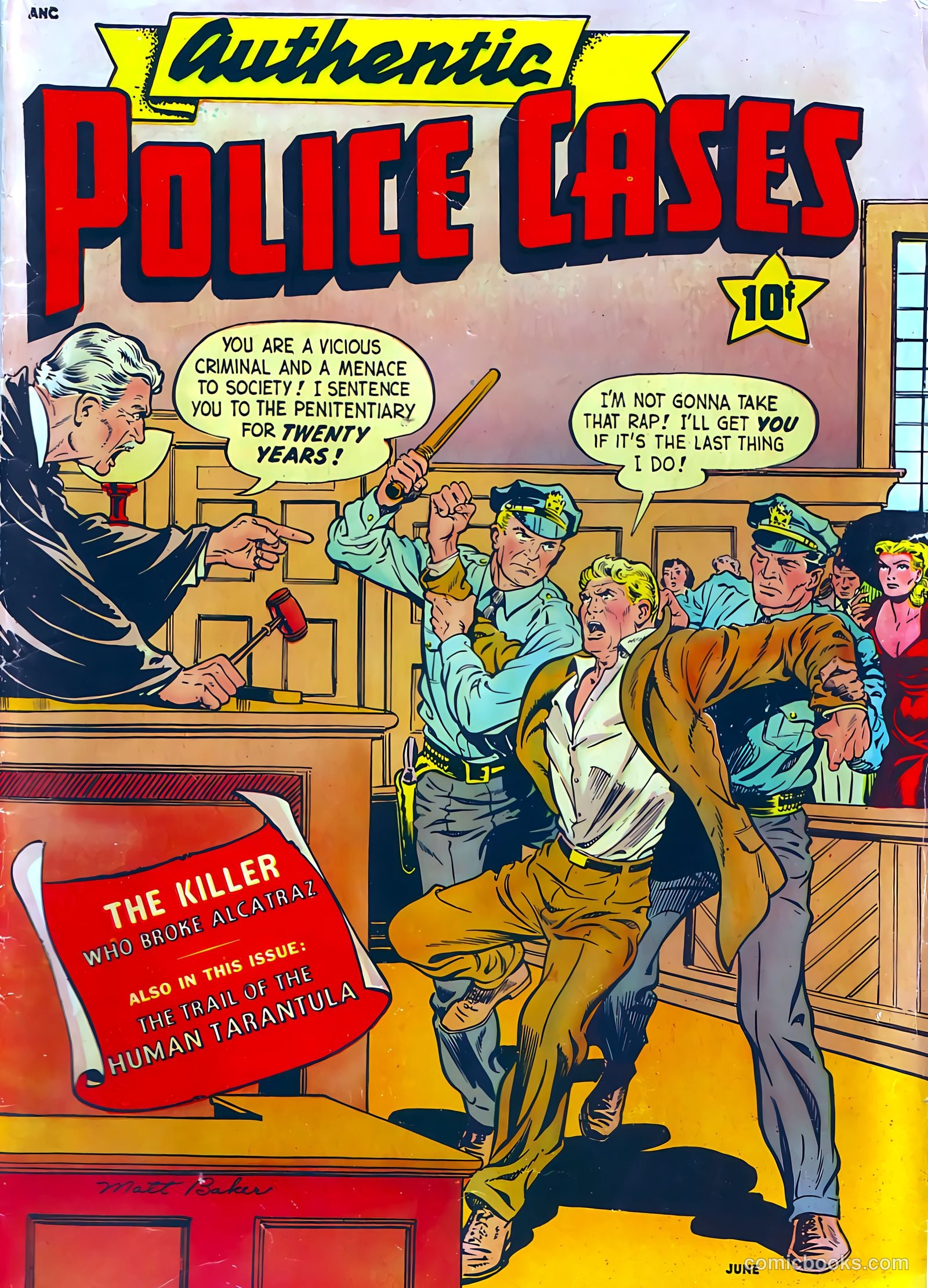 Authentic Police Cases #13