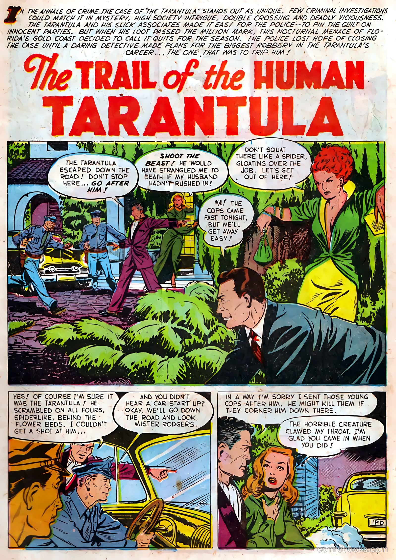 Authentic Police Cases #13 (1951) — page 3 of 36