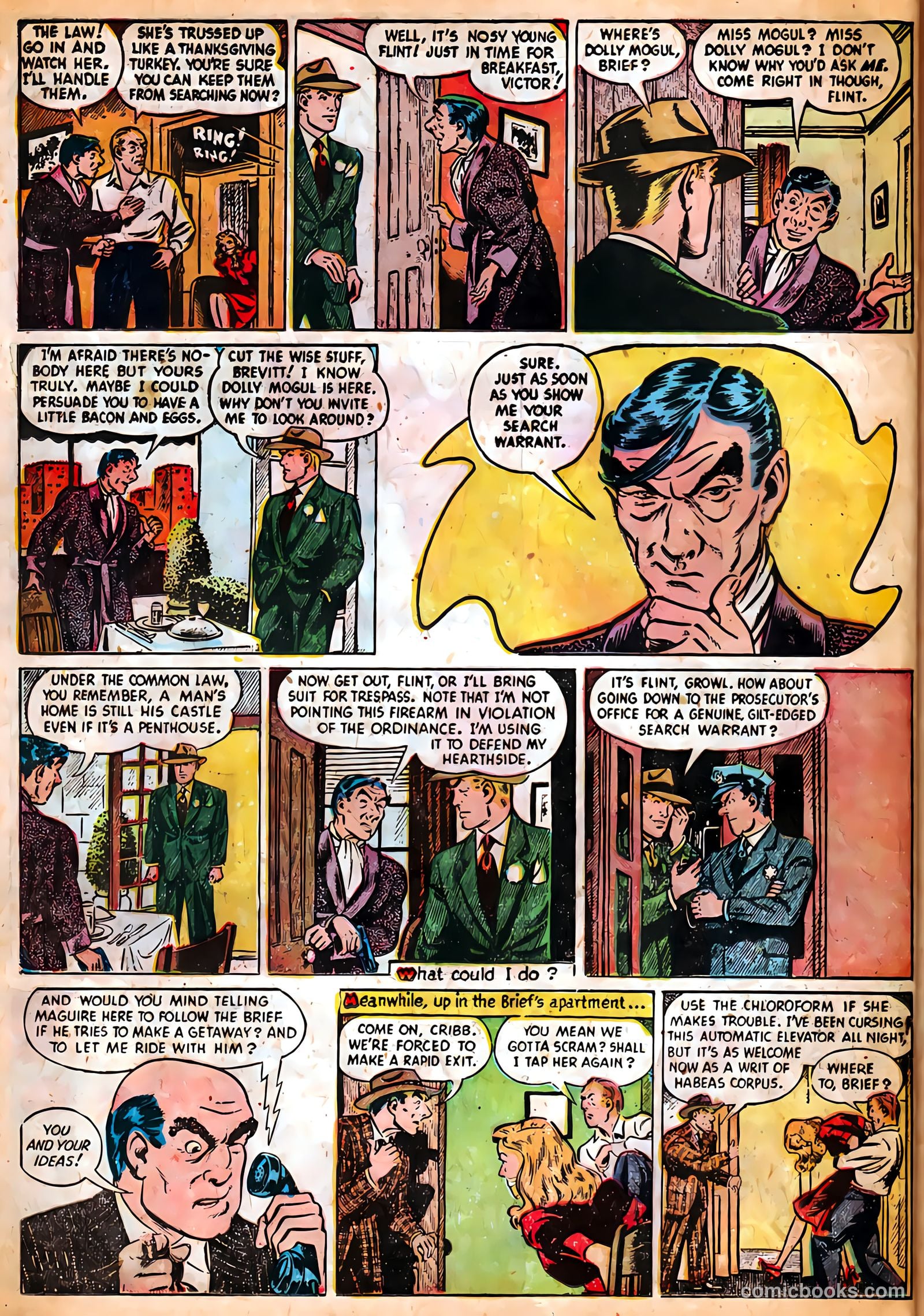 Authentic Police Cases #15 (1951) — page 22 of 37