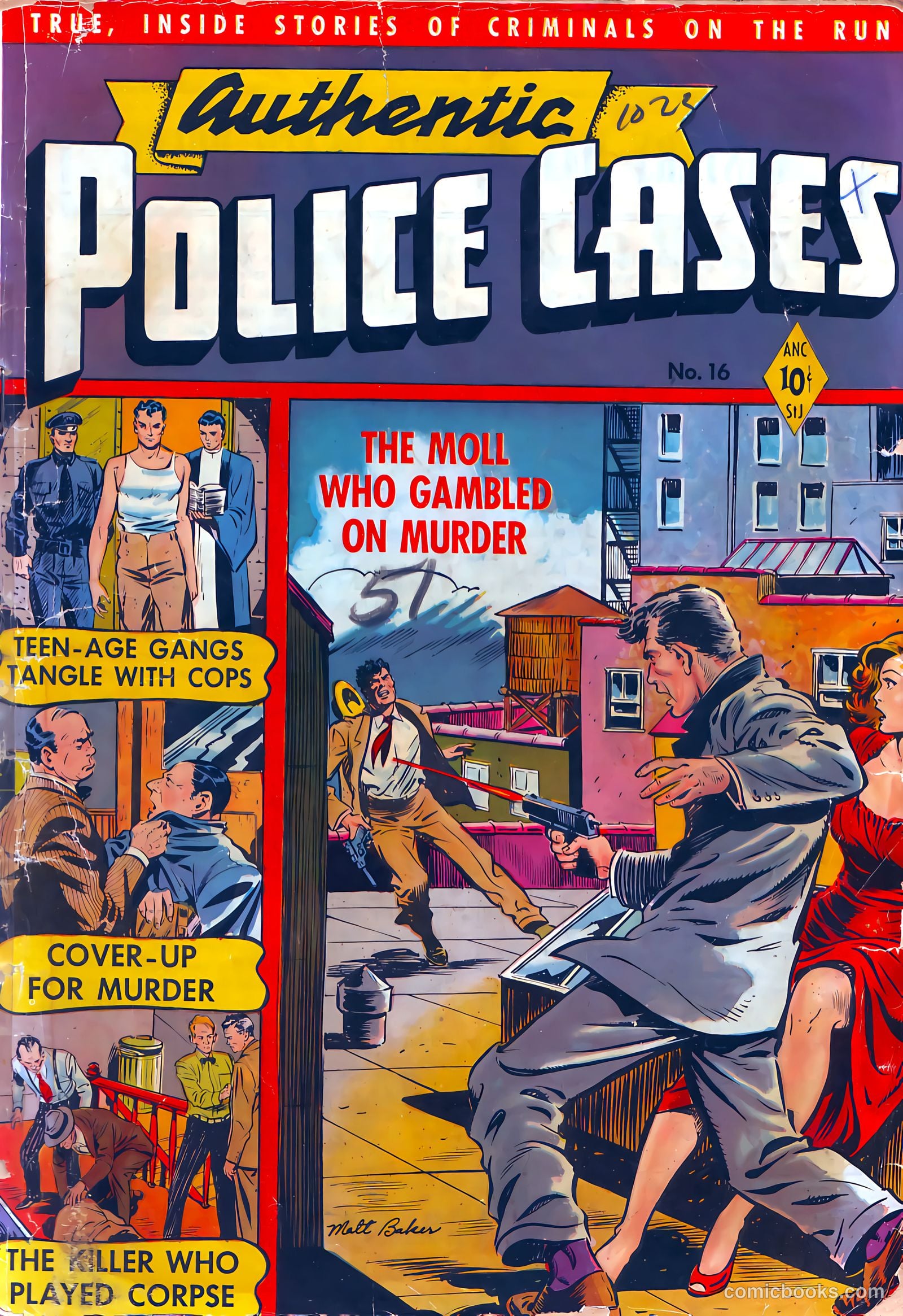 Authentic Police Cases #16