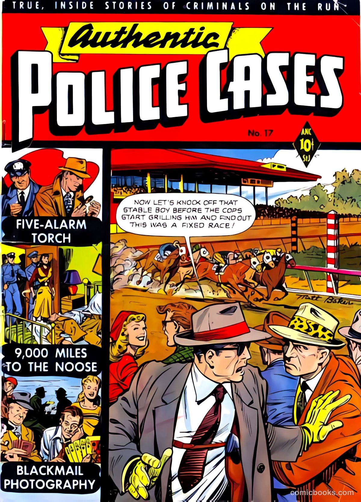 Authentic Police Cases #17